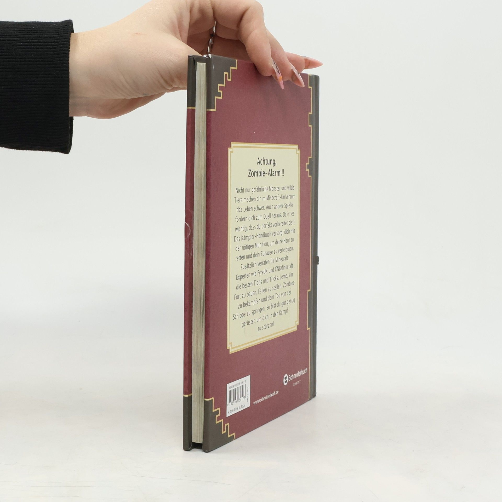 Autorenkollektiv Minecraft. Das Kämpfer-Handbuch