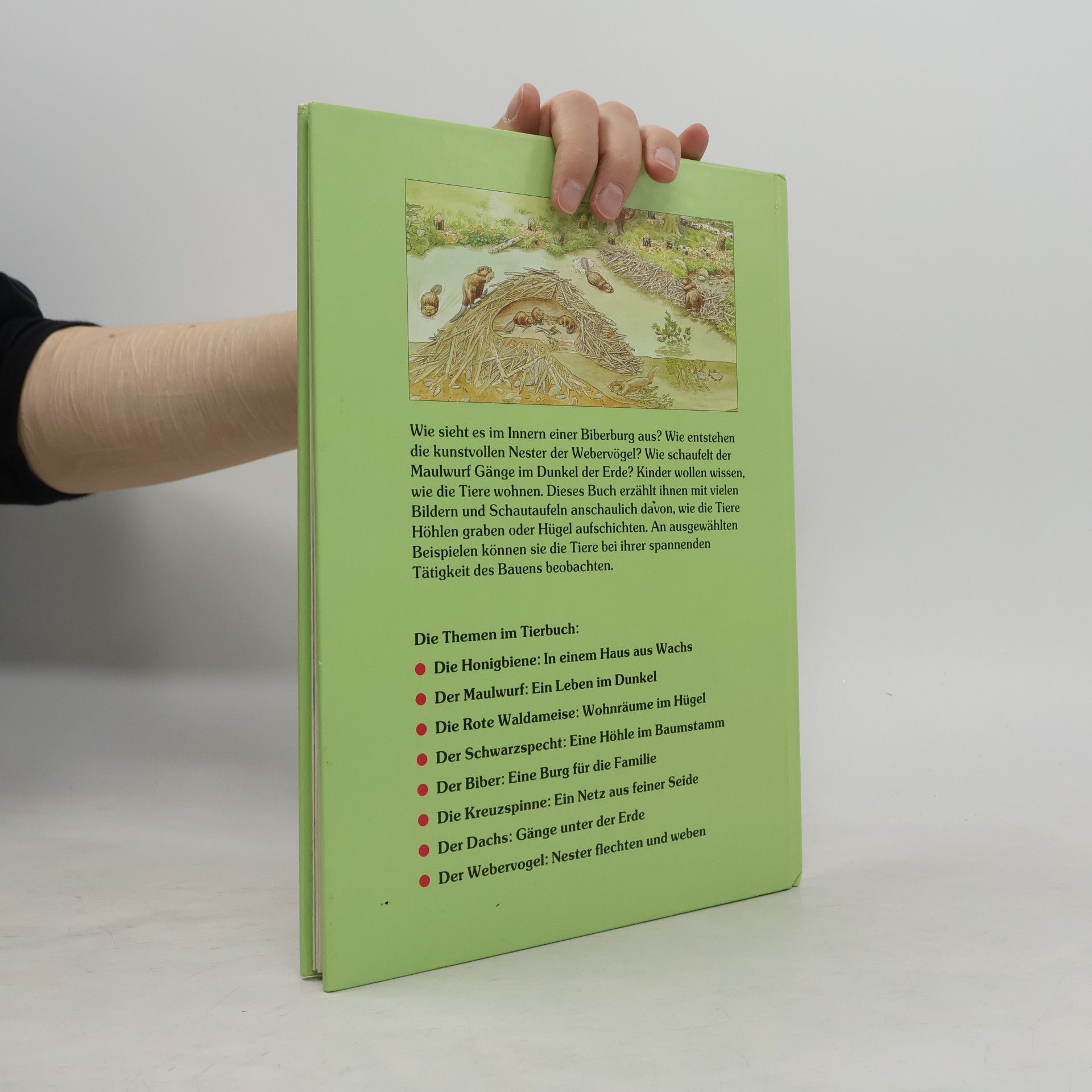 Autores varios Wie Tiere wohnen