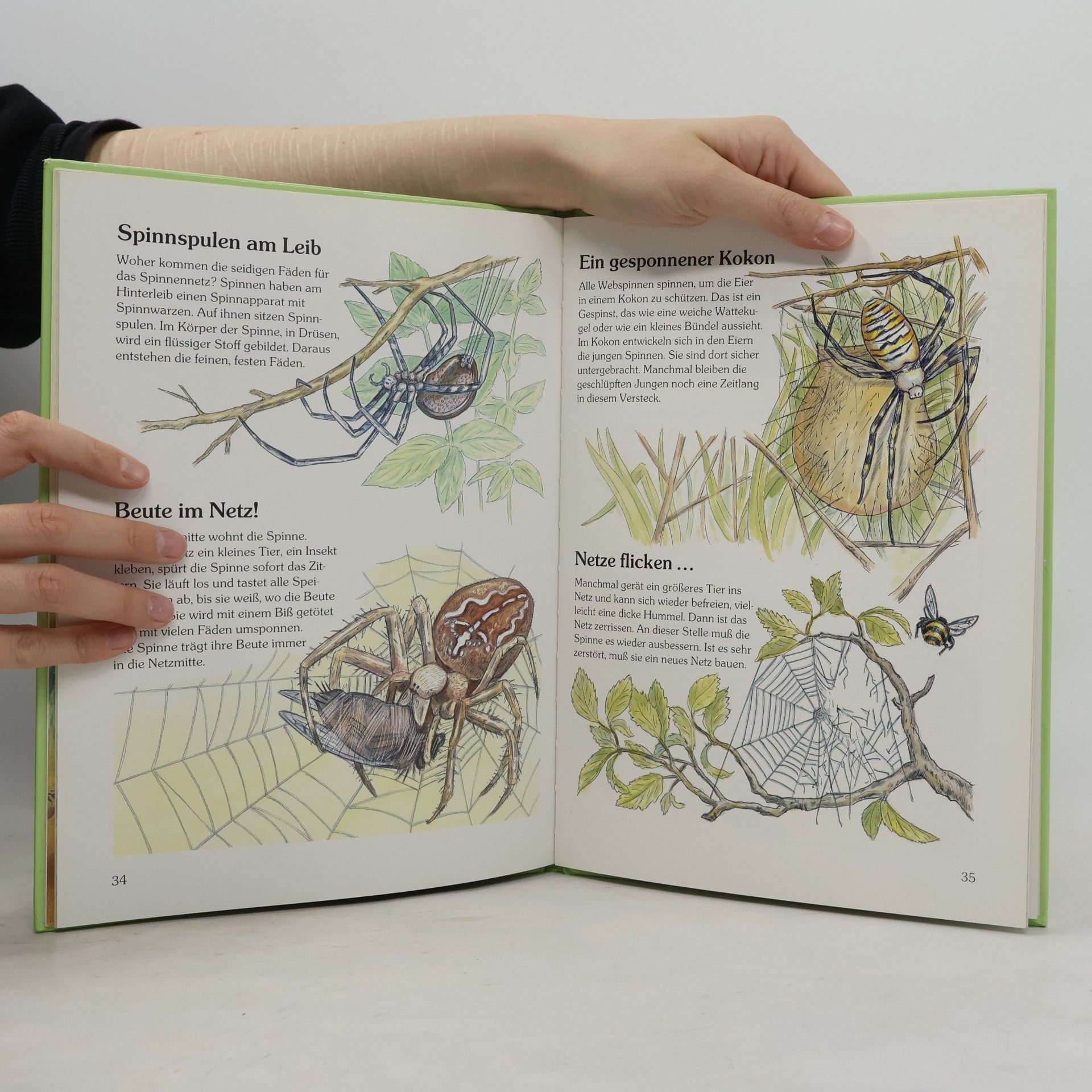 Autores varios Wie Tiere wohnen