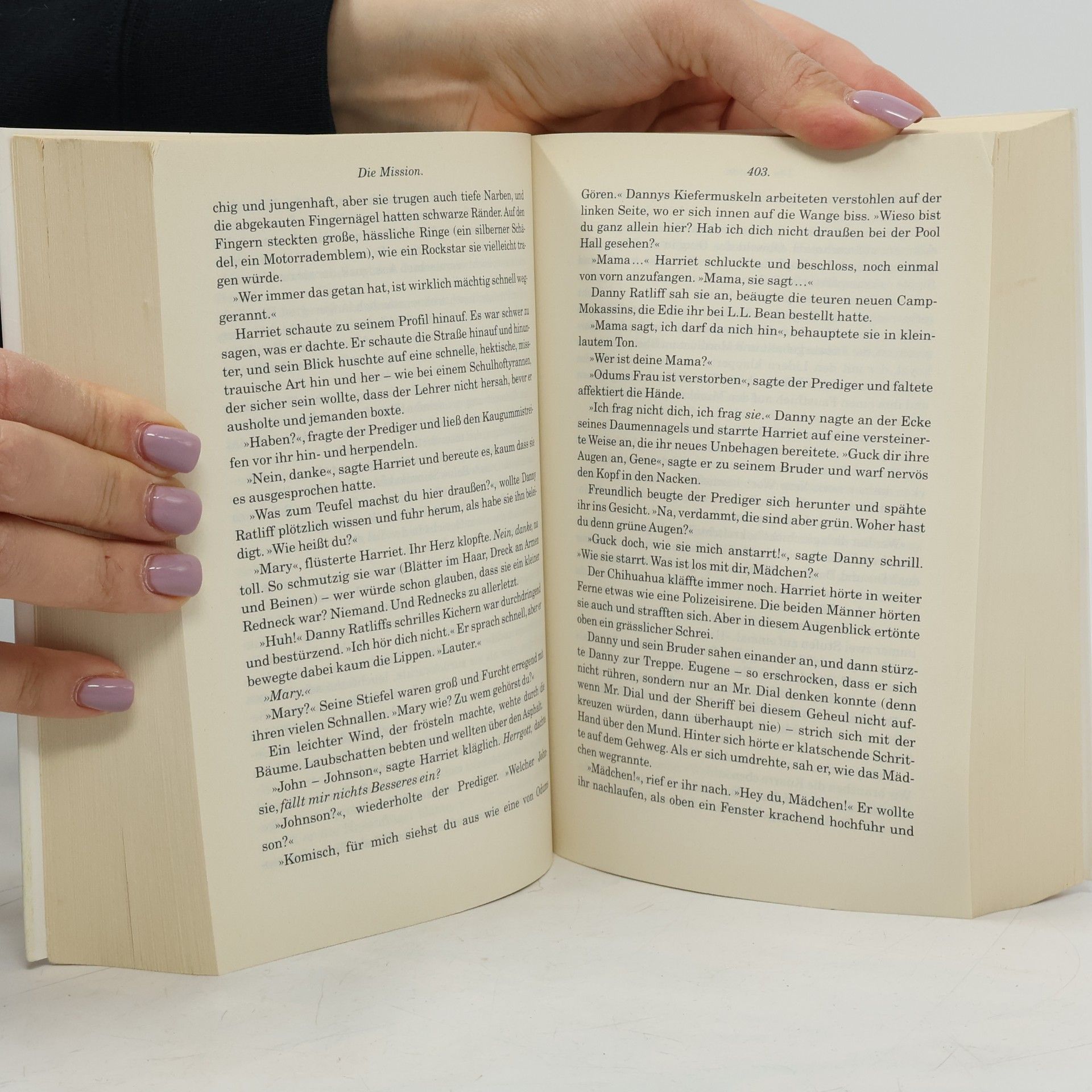Donna Tartt Der kleine Freund