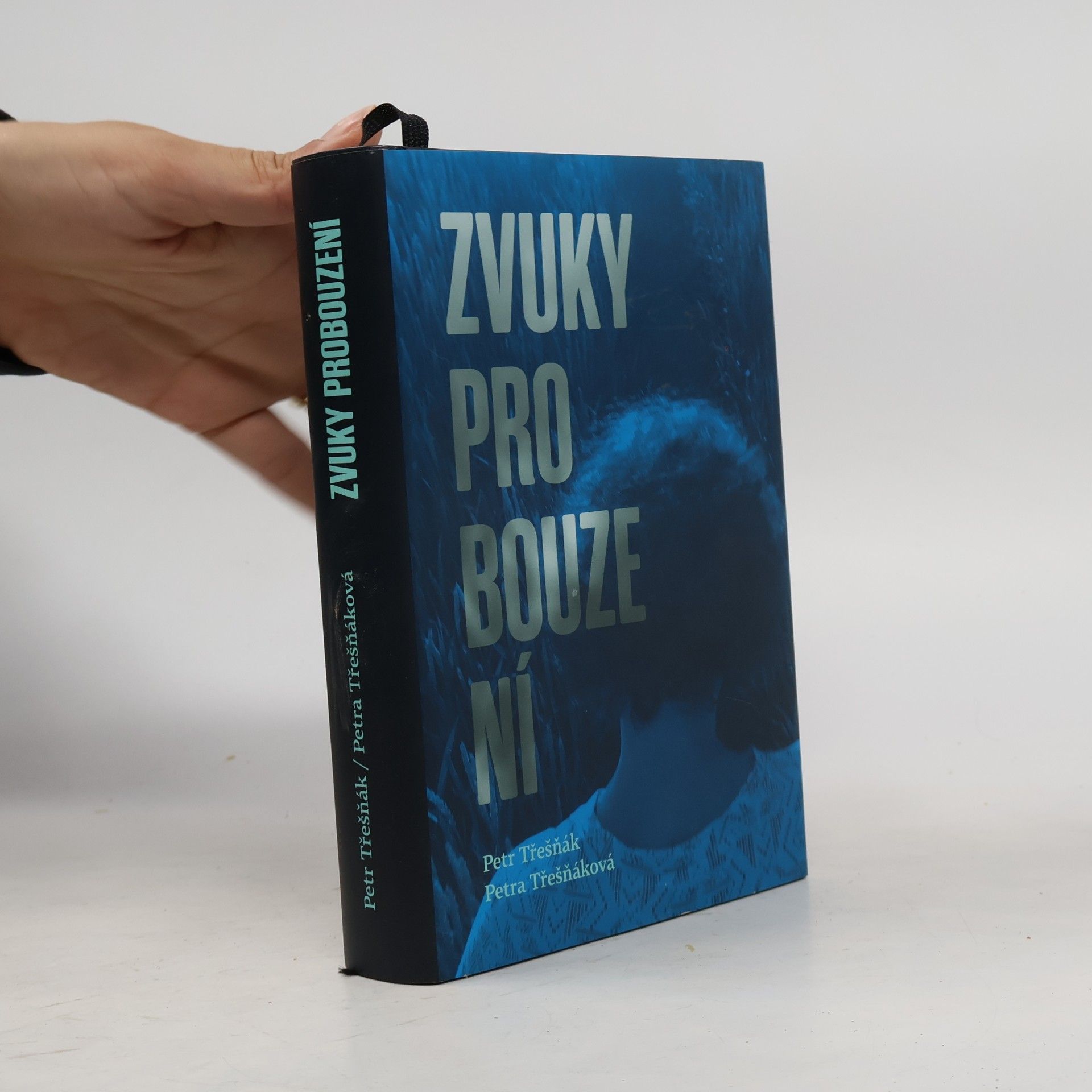 Petr Třešňák Zvuky probouzení