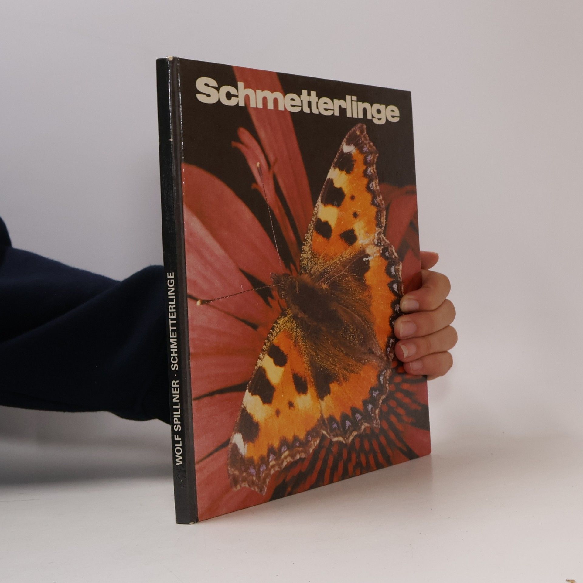 Wolf Spillner Schmetterlinge