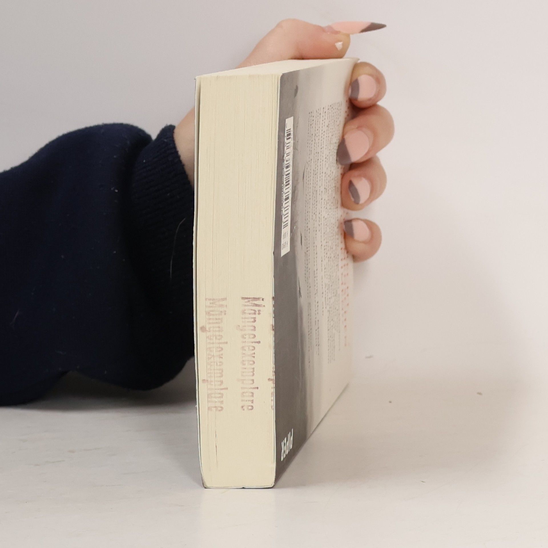 Kerstin Ekman Tagebuch eines Mörders