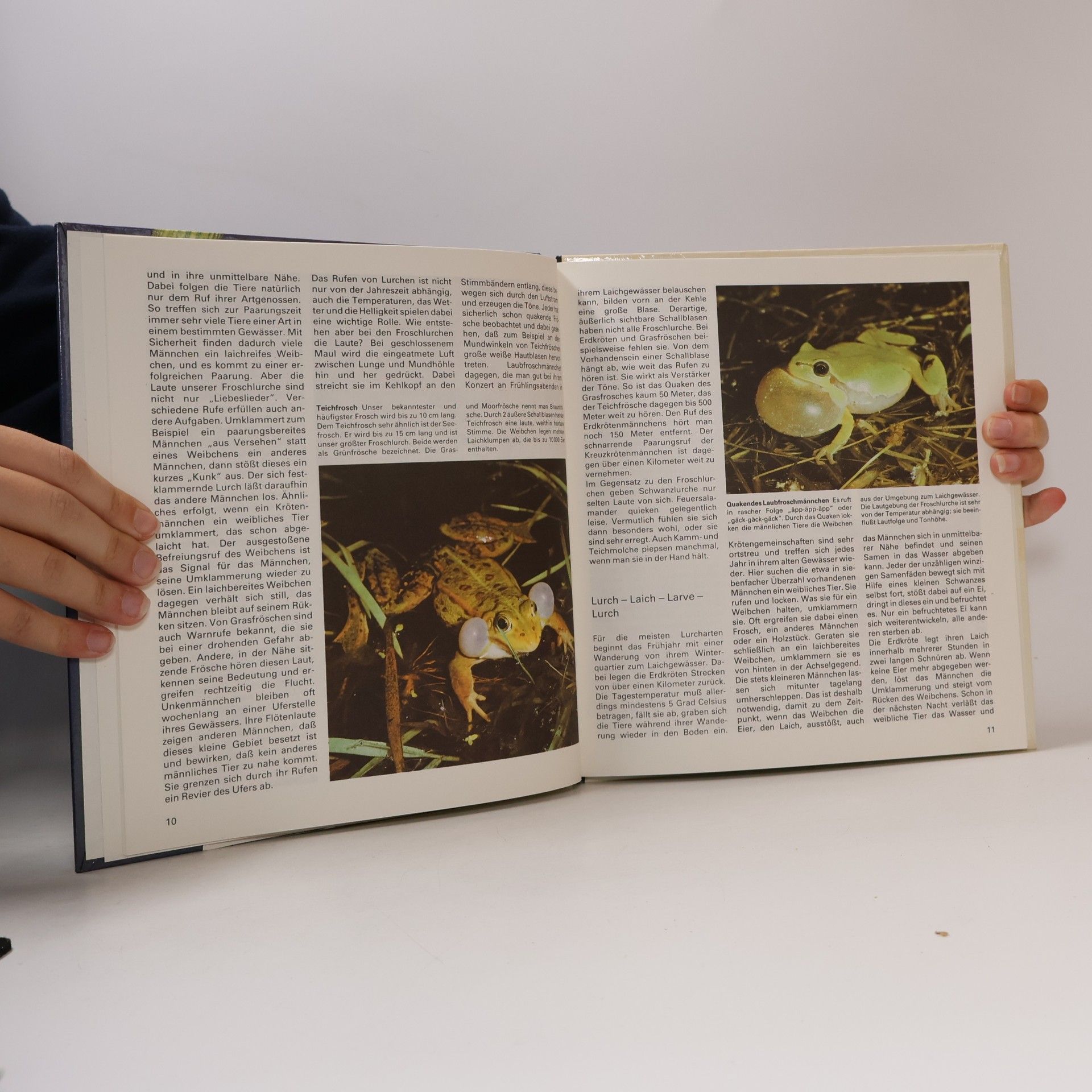 Karl-Heinz Tschiesche Lurche und Kriechtiere