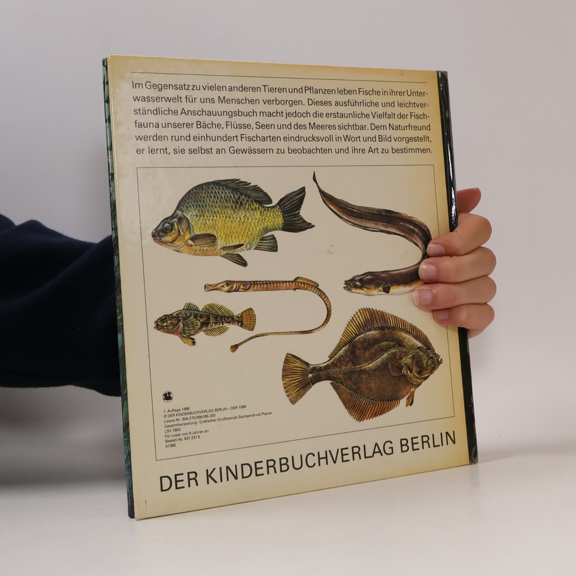 Horst Schroder Fische