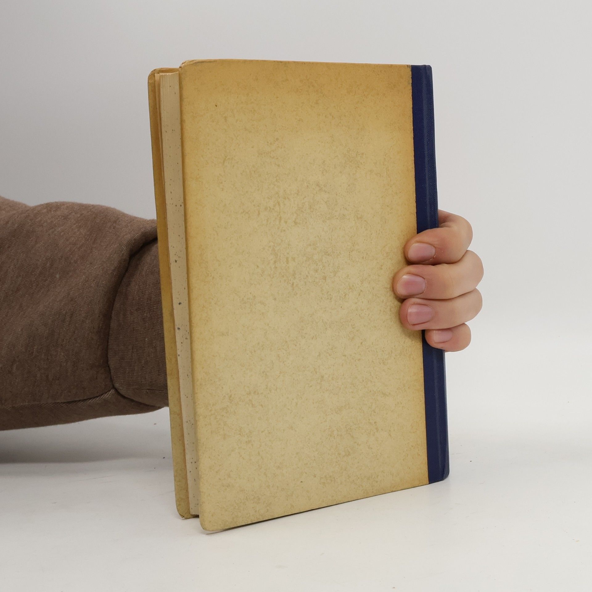 Arthur Bonus Kinderbuch