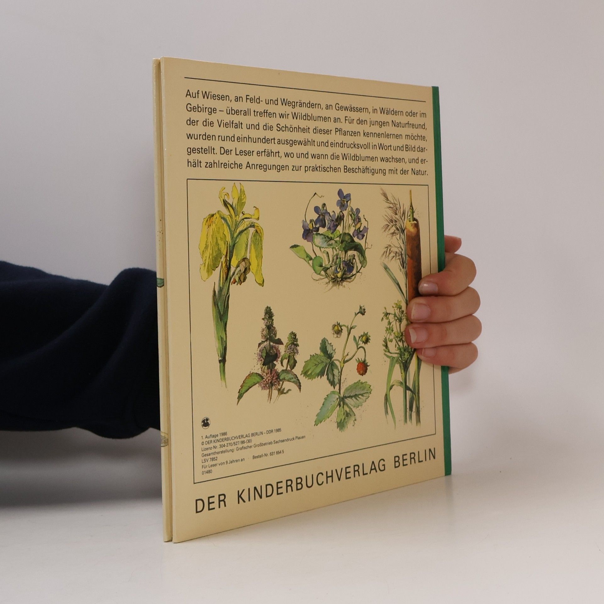 Kolektiv autorů Wildblumen