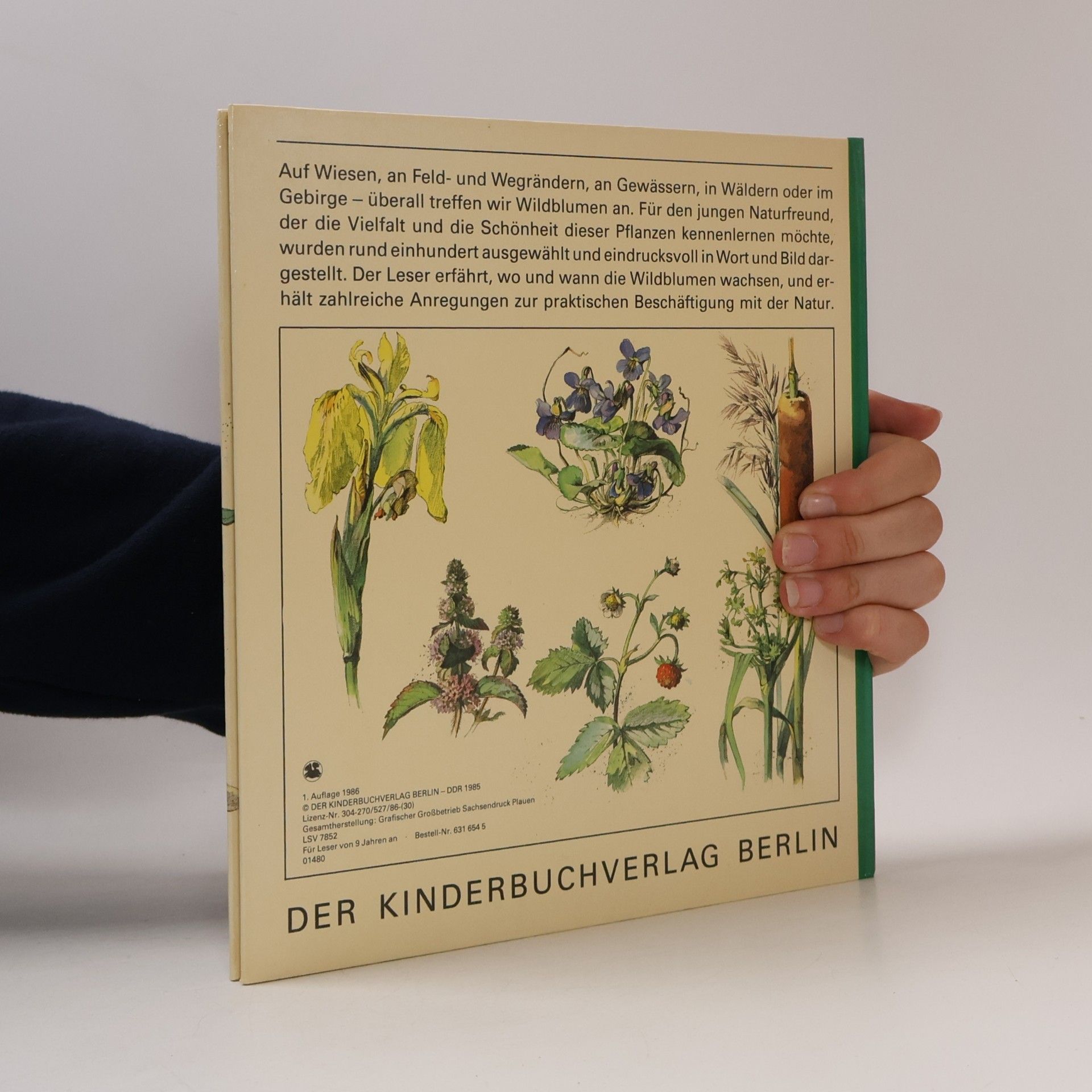 Kolektiv autorů Wildblumen
