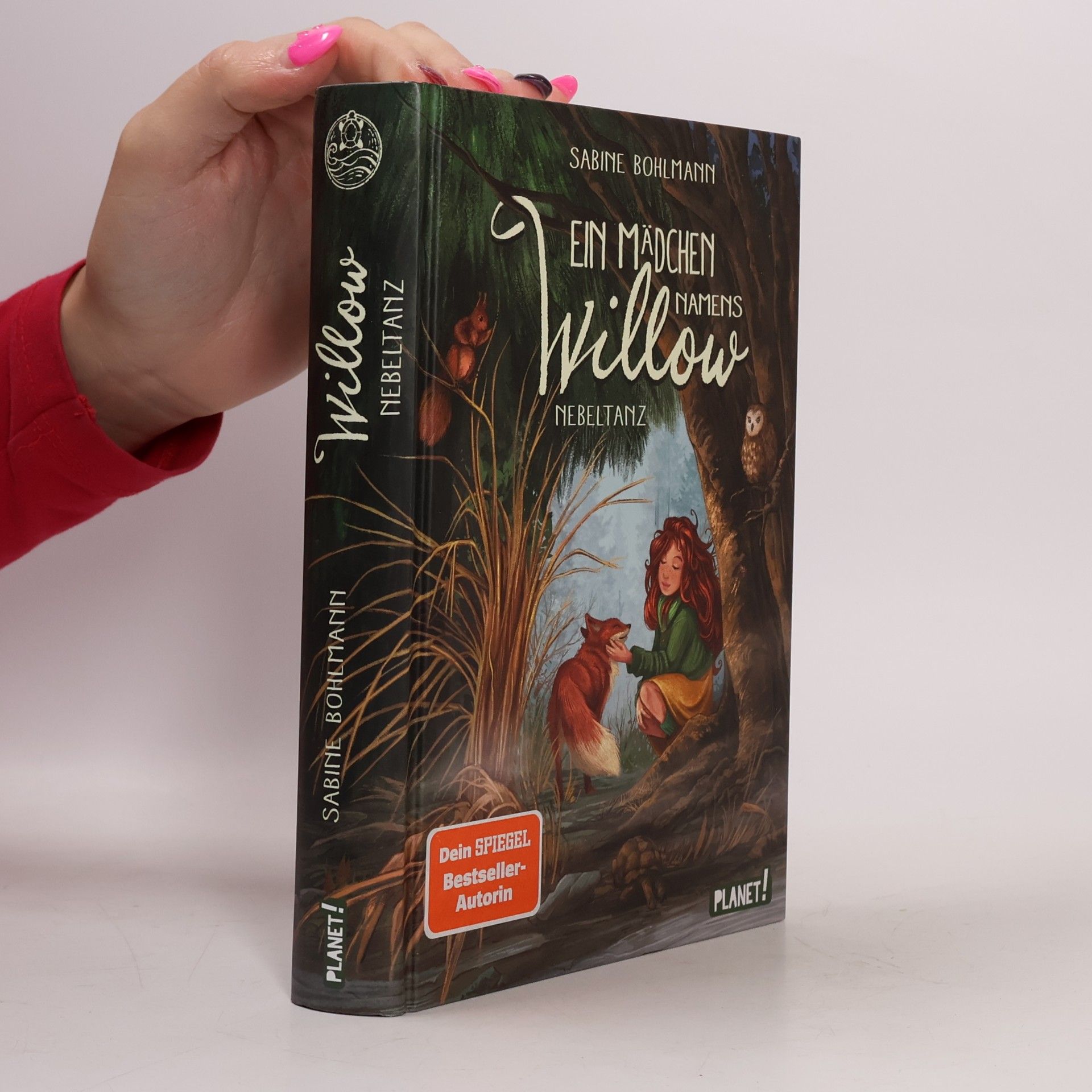 Ein Mädchen namens Willow 4: Nebeltanz