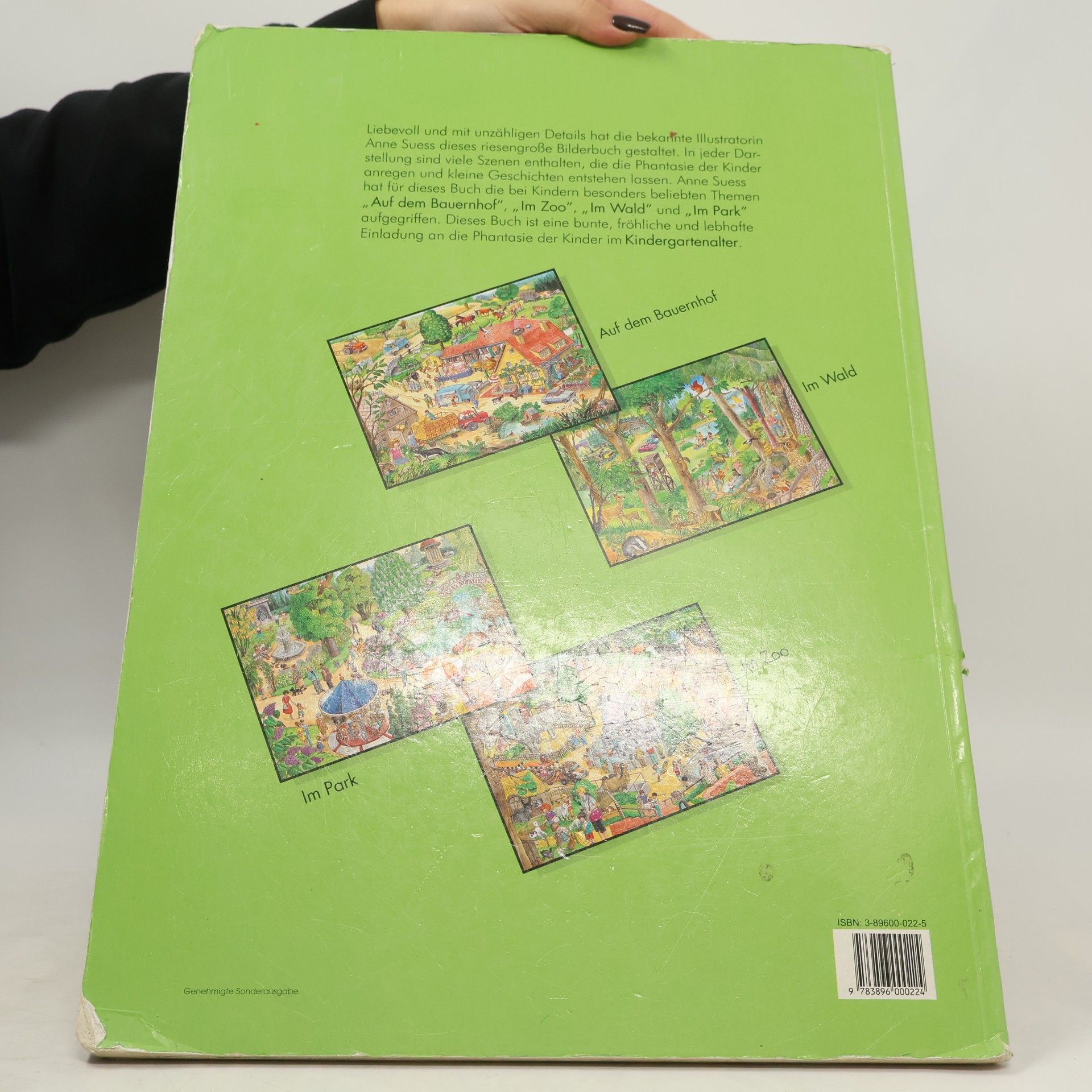 Anne Suess Das riesengrosse Bilderbuch