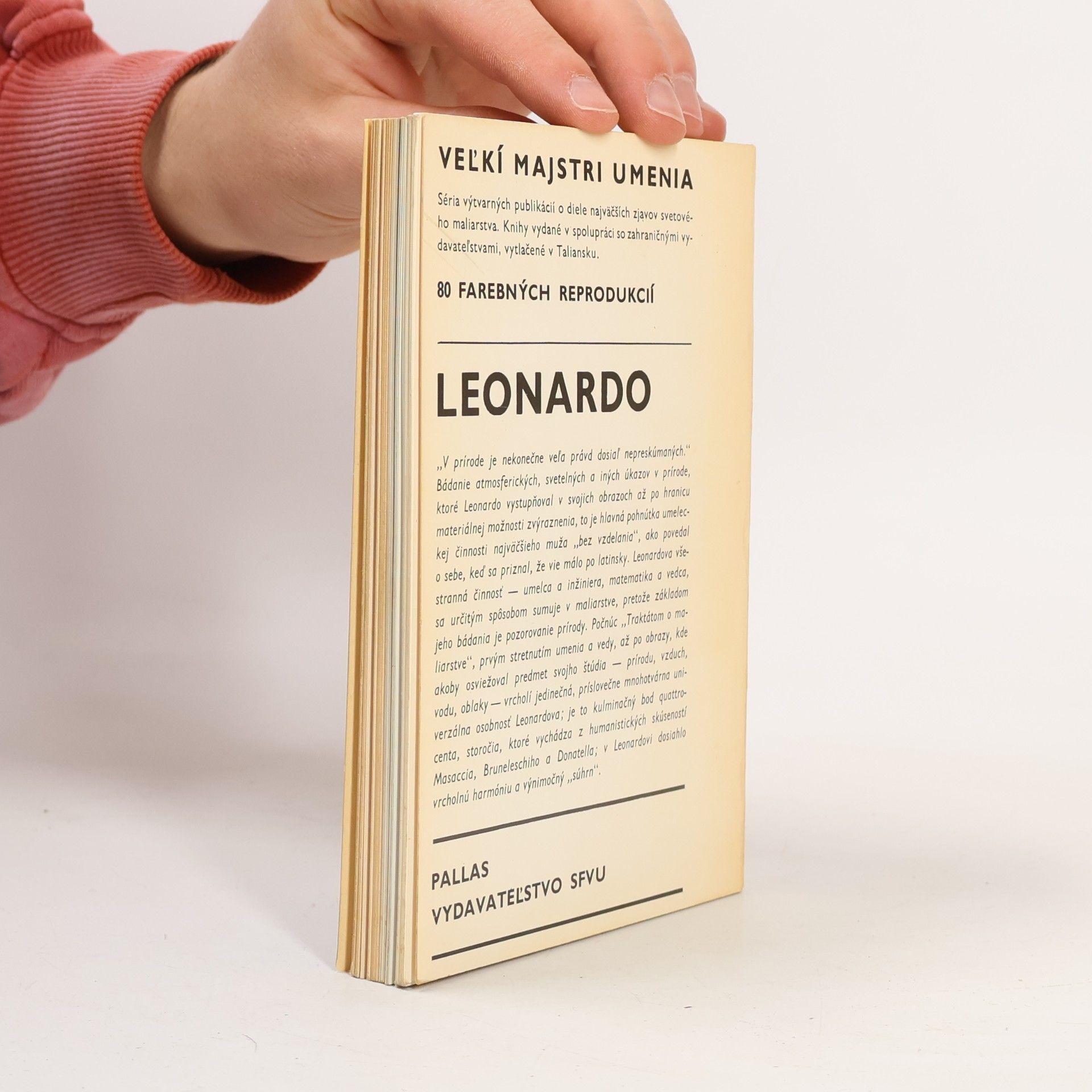 Rafael Monti Leonardo