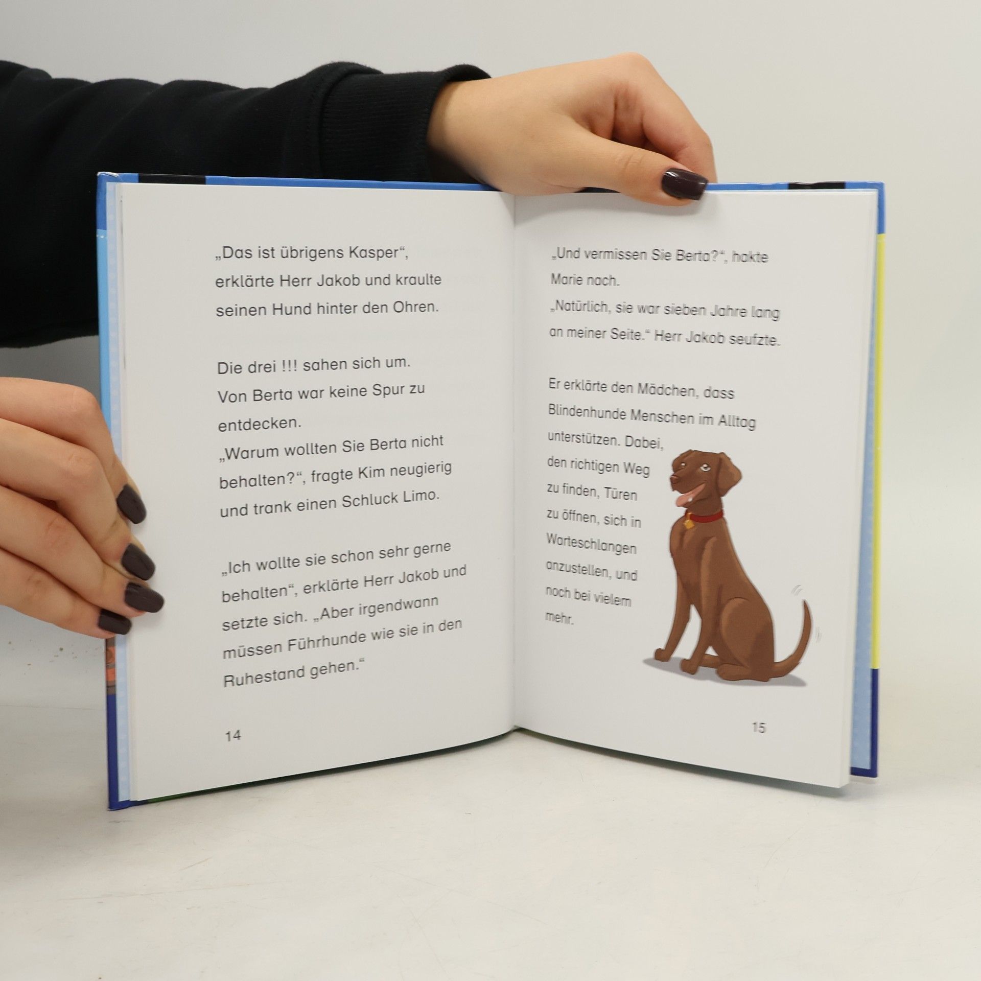 Jule Ambach Die drei !!!, Bücherhelden 2. Klasse, Hund entführt!