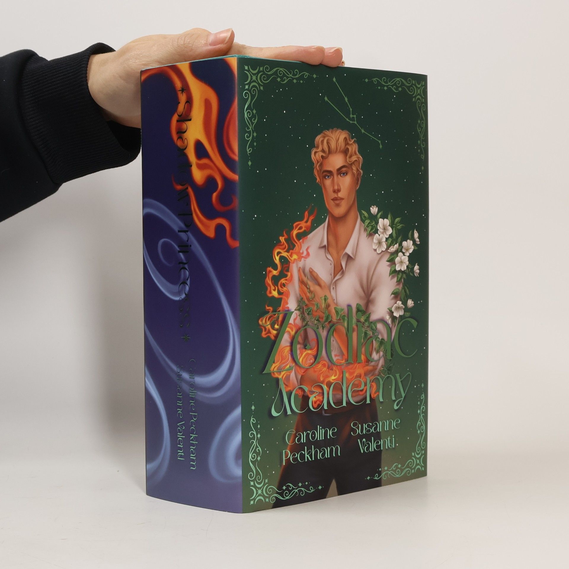 Die Schattenprinzessin 4