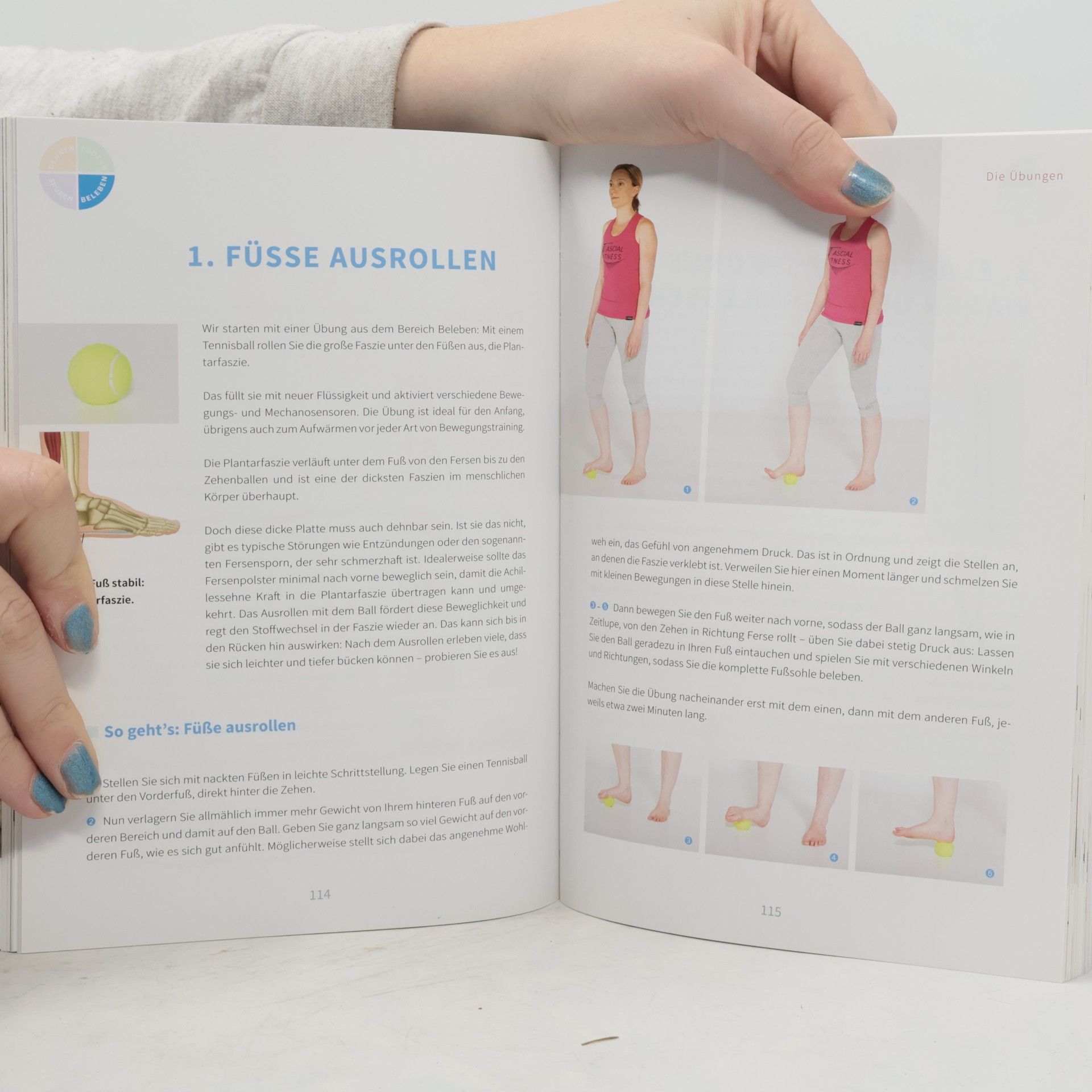 Robert Schleip Faszien-Fitness