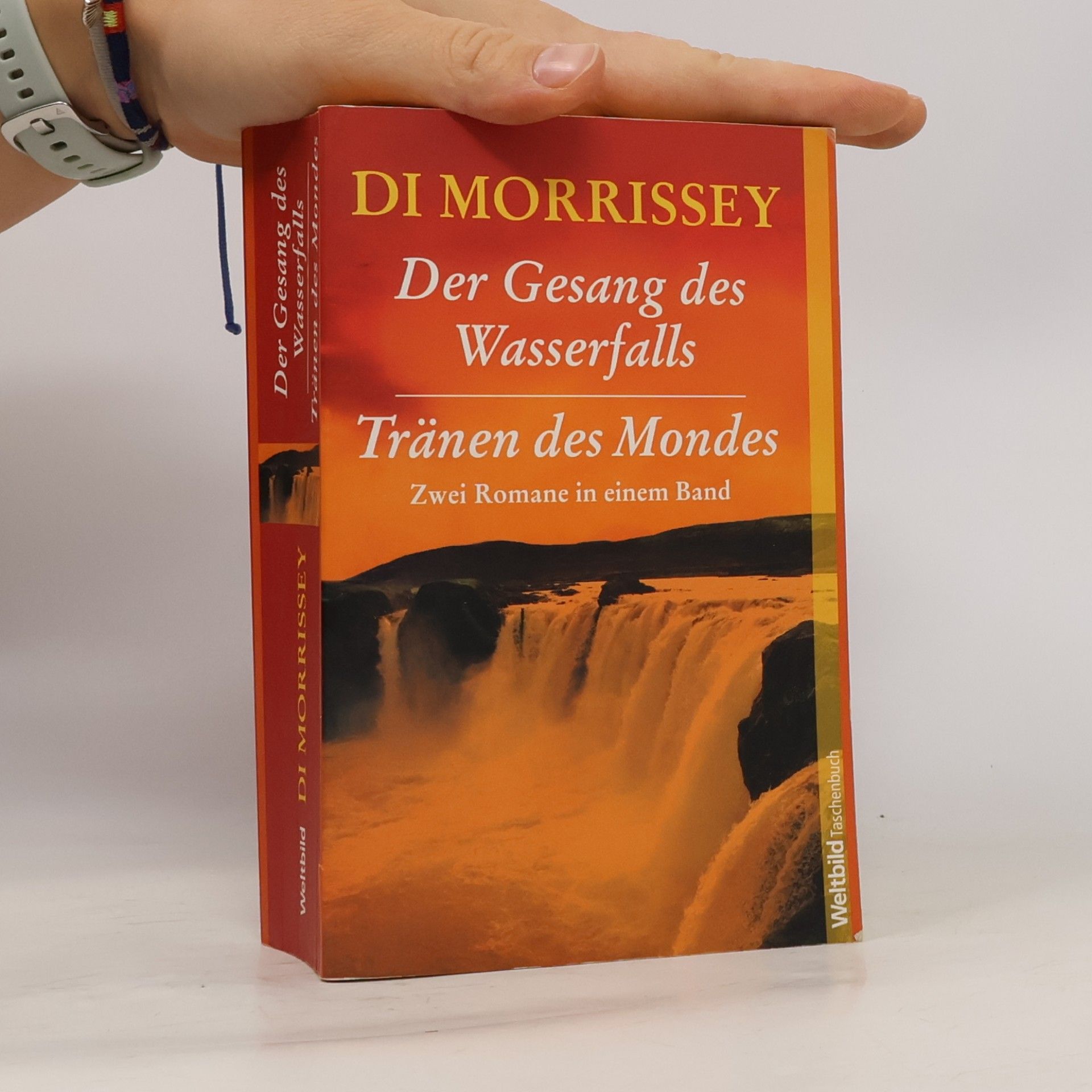 Di Morrissey Der Gesang des Wasserfalls
