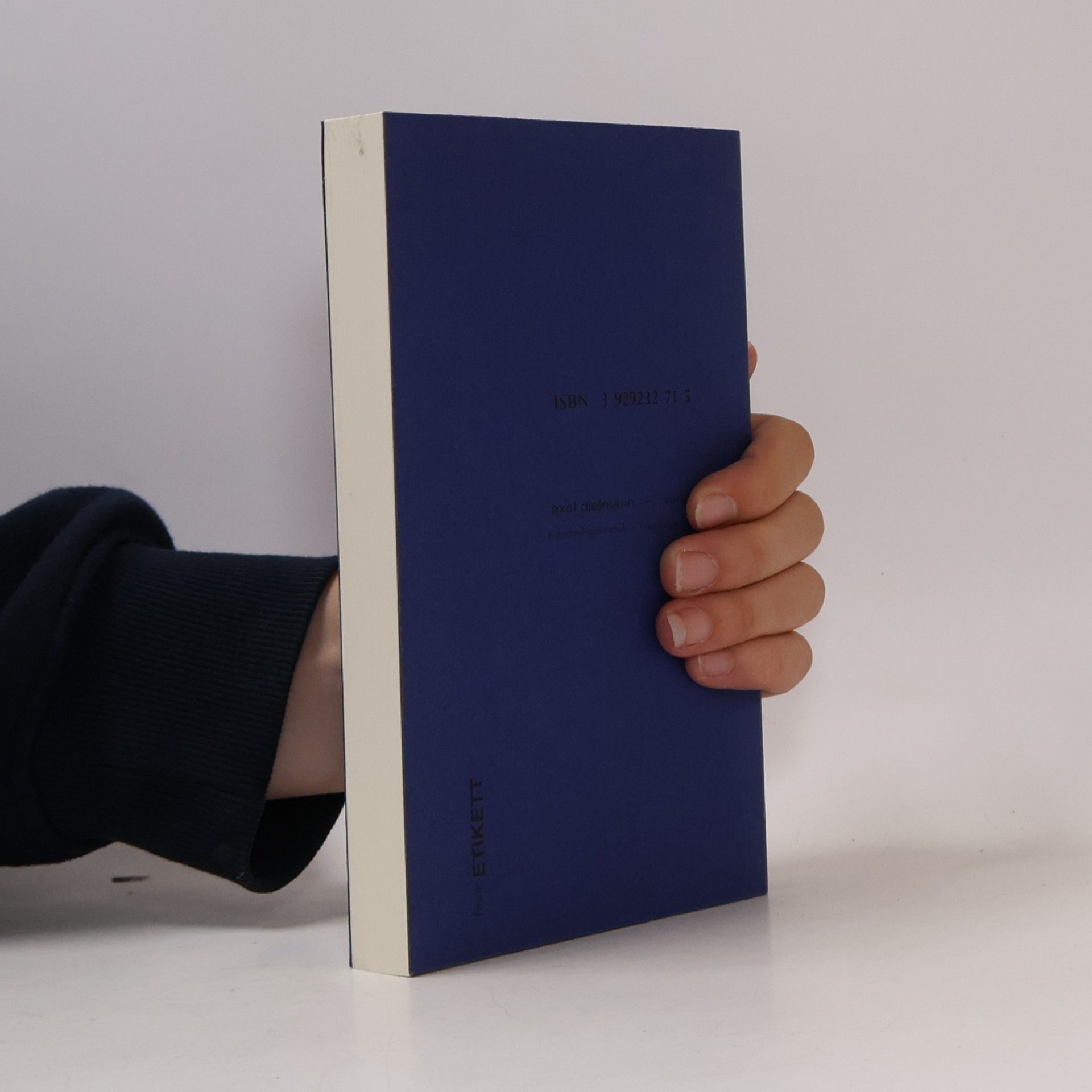 Veronika Schneider Das Fenster in der Literatur