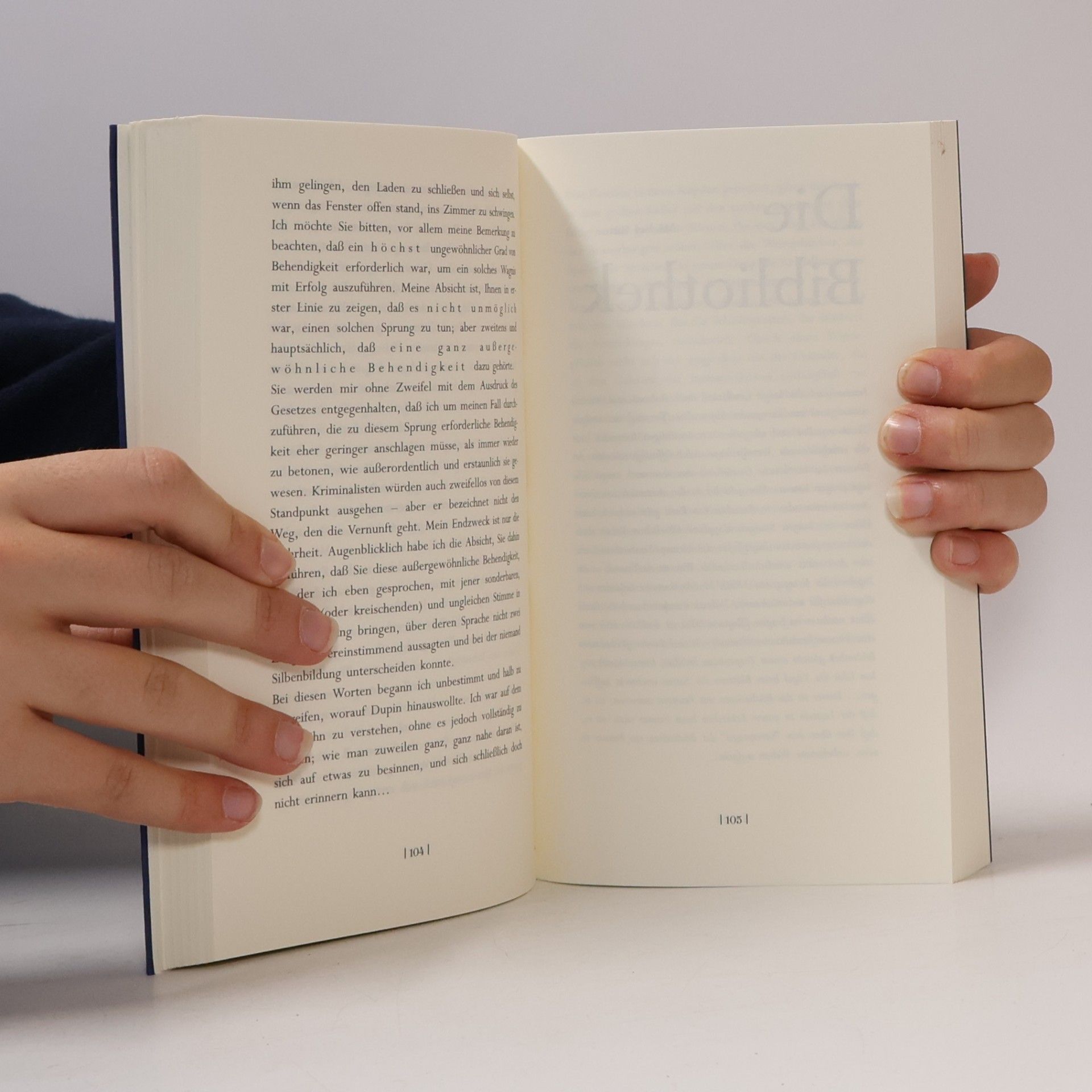 Veronika Schneider Das Fenster in der Literatur