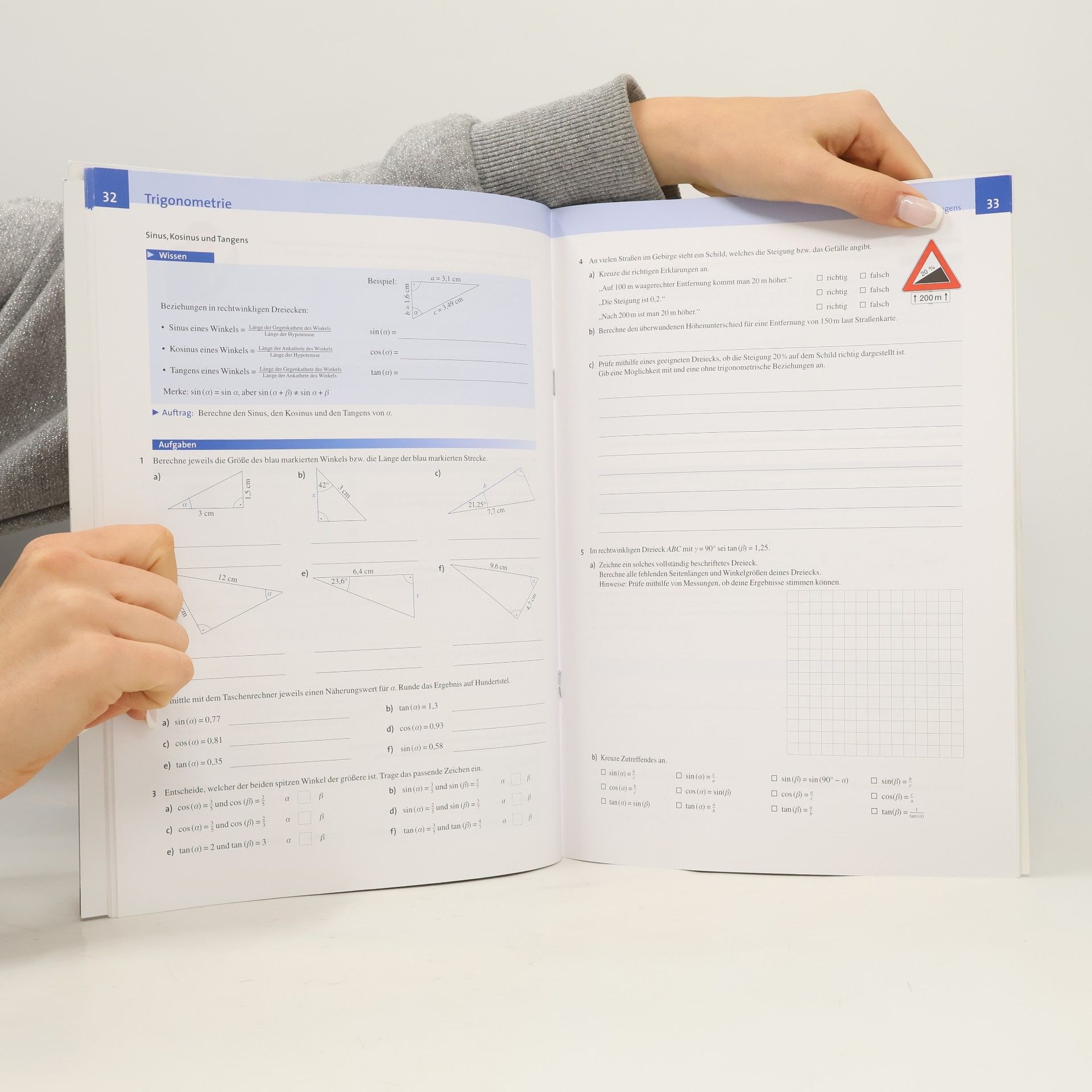 Fundamente der Mathematik 9. Schuljahr. Arbeitsheft Gymnasium Nordrhein-Westfalen