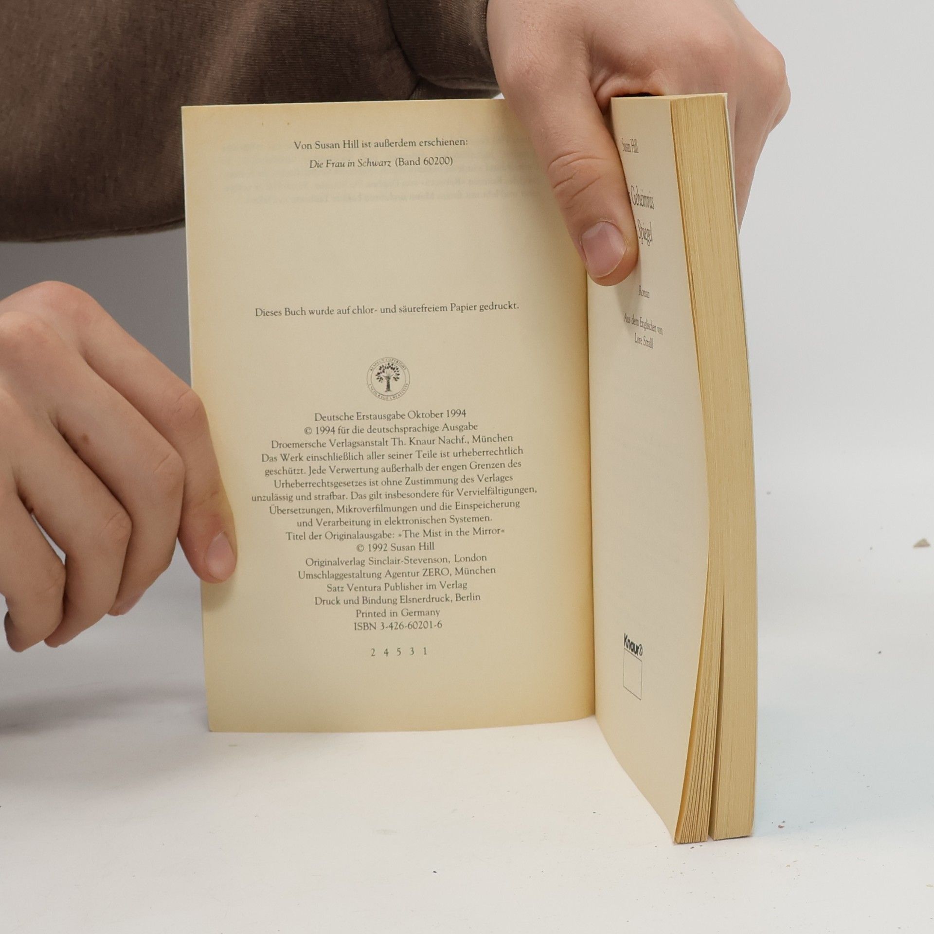 Susan Hill Das Geheimnis im Spiegel