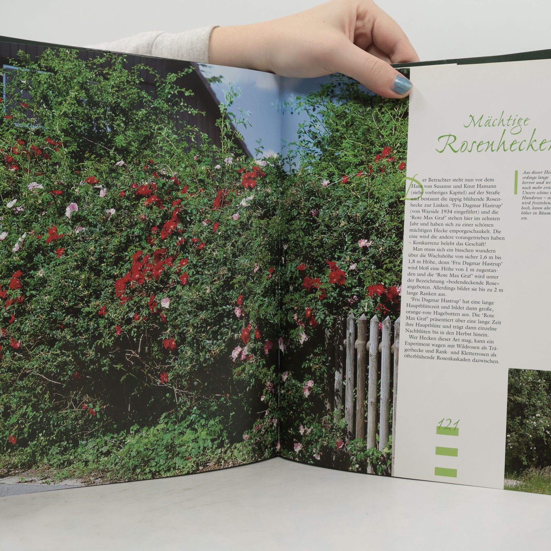 Christiane Buch Inspirationen für den Rosengarten