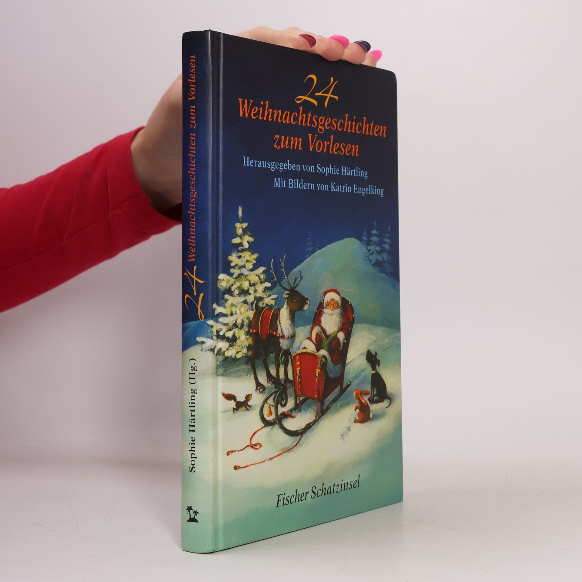24 Weihnachtsgeschichten zum Vorlesen