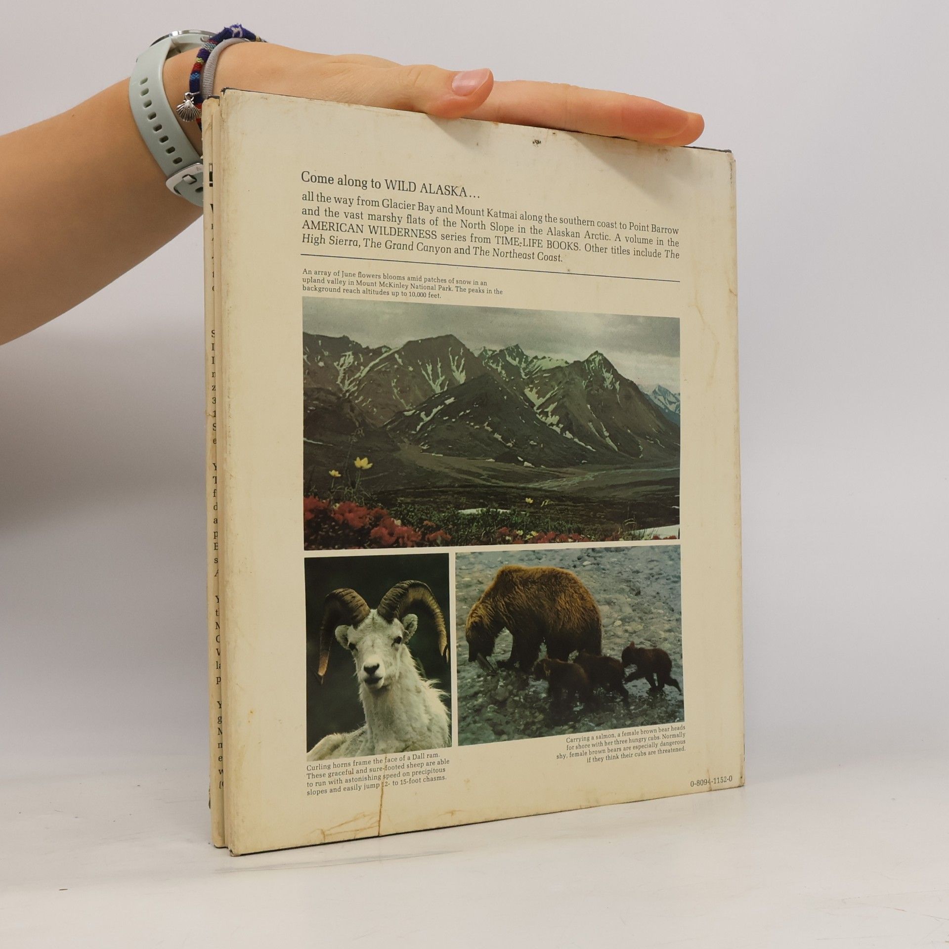 Dale Brown The American Wilderness: Wild Alaska