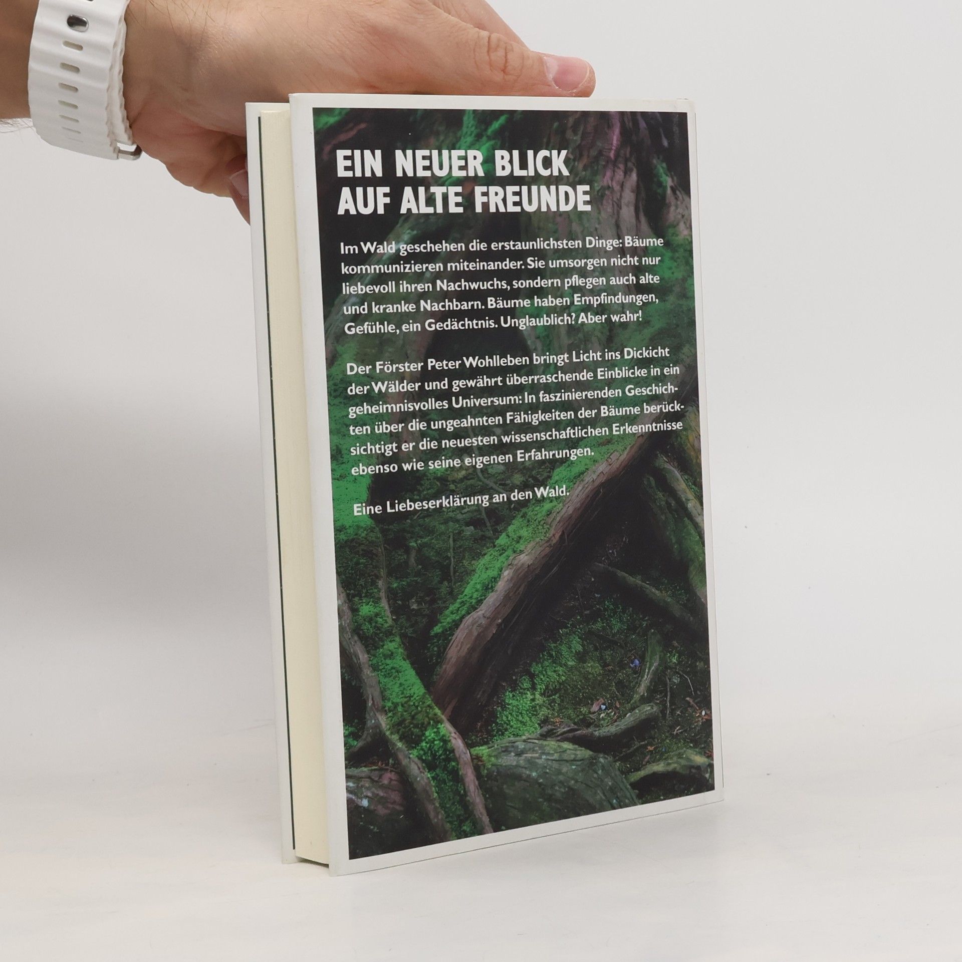 Peter Wohlleben Das geheime Leben der Bäume