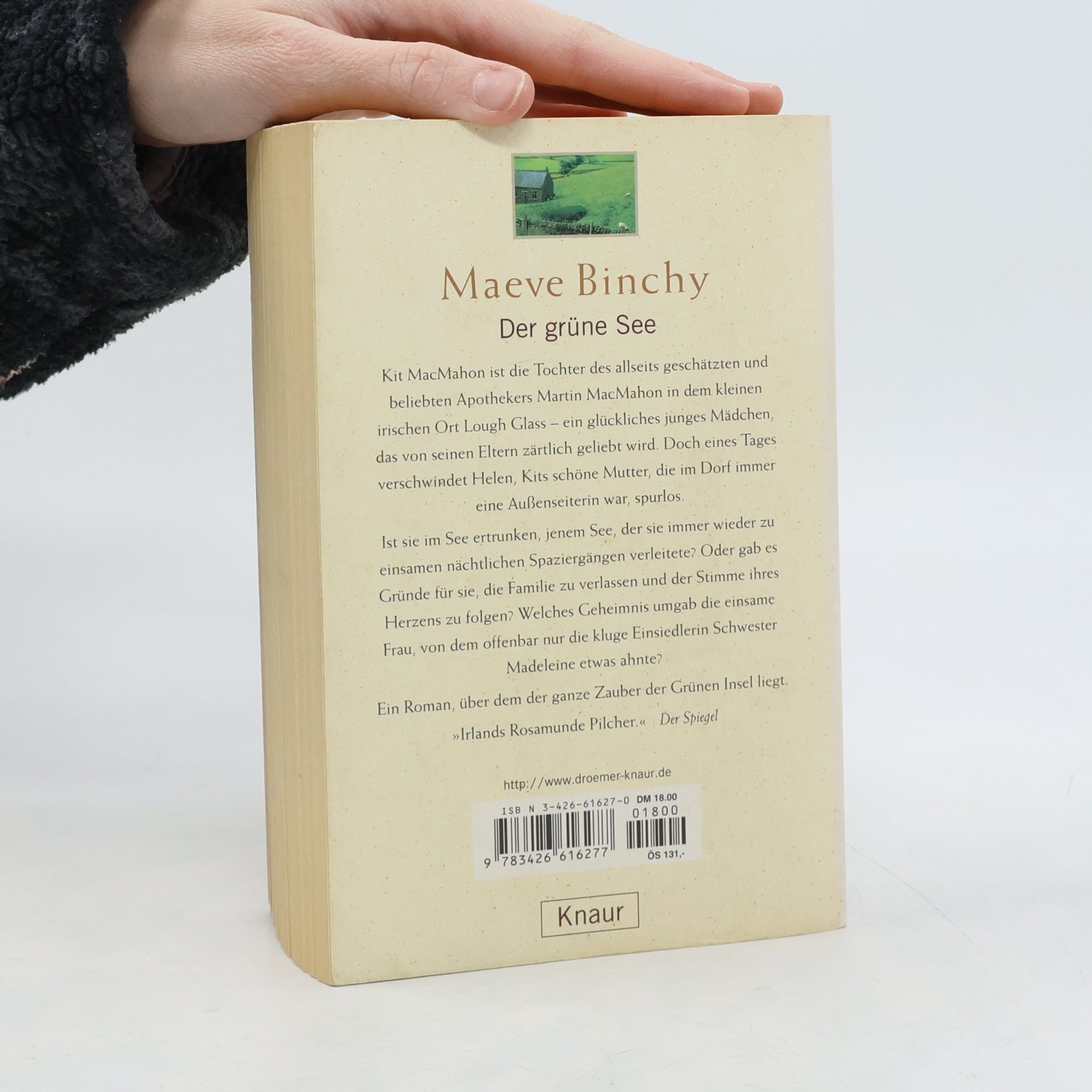 Maeve Binchy Der grüne See