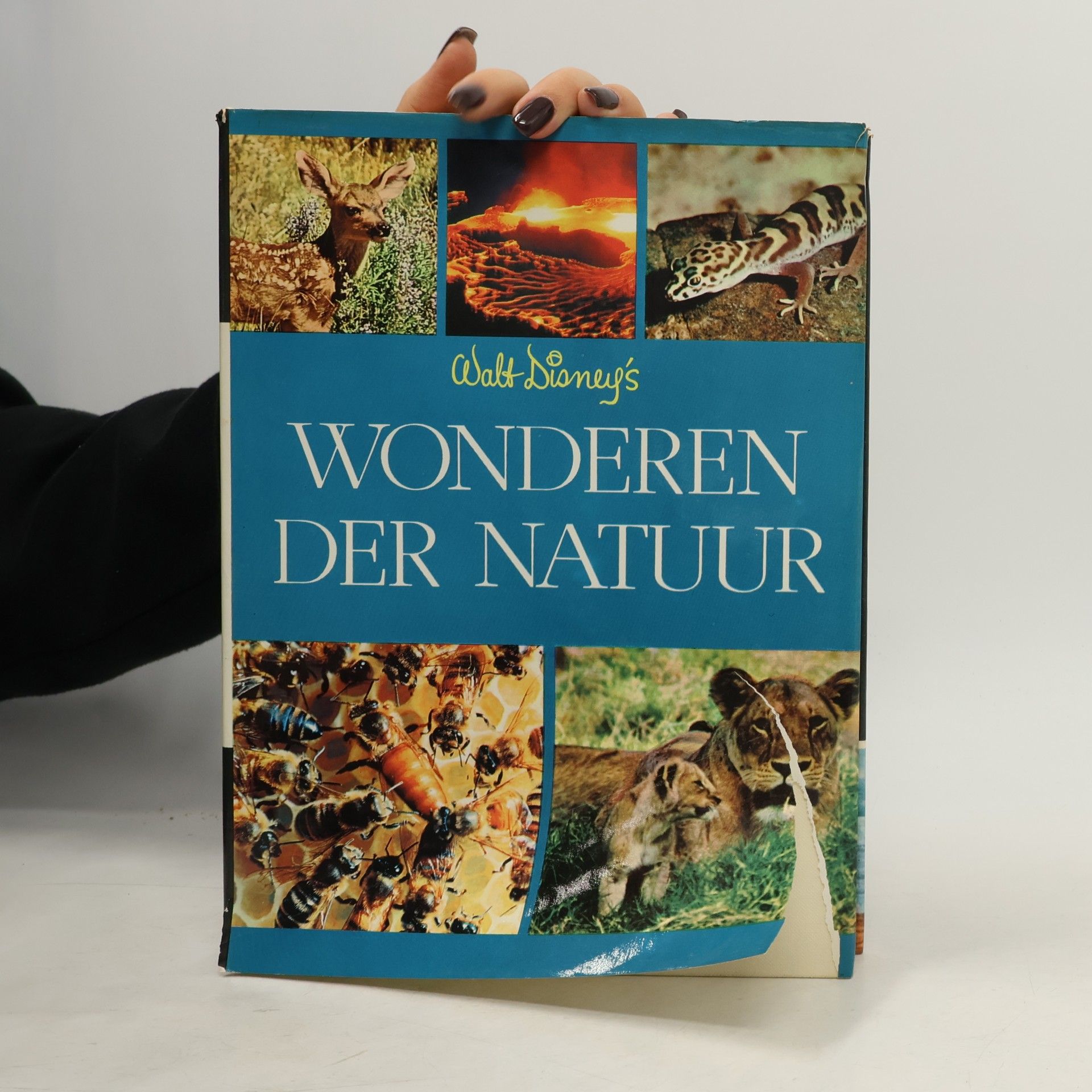 Rutherford Hayes Platt Wonderen Der Natuur