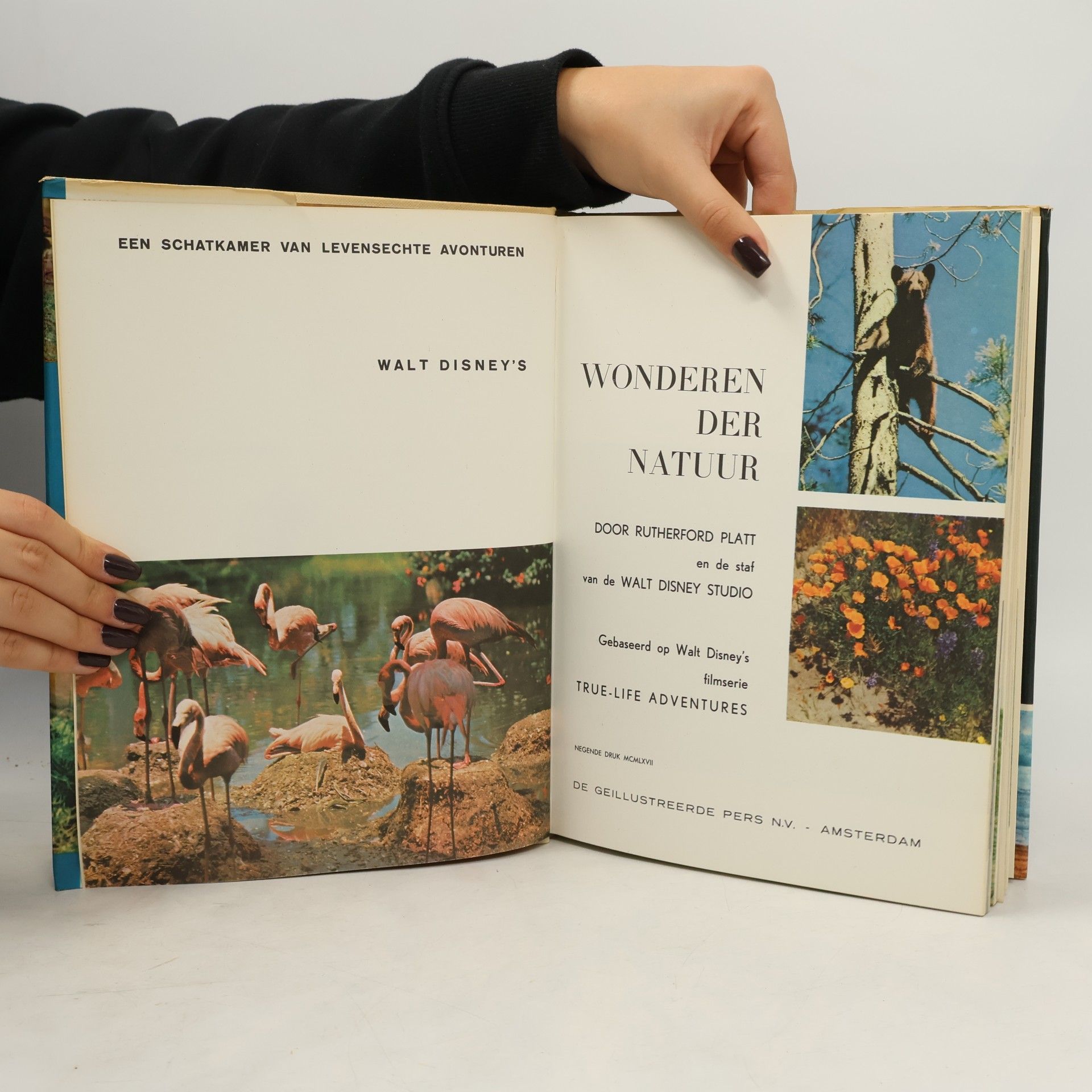 Rutherford Hayes Platt Wonderen Der Natuur