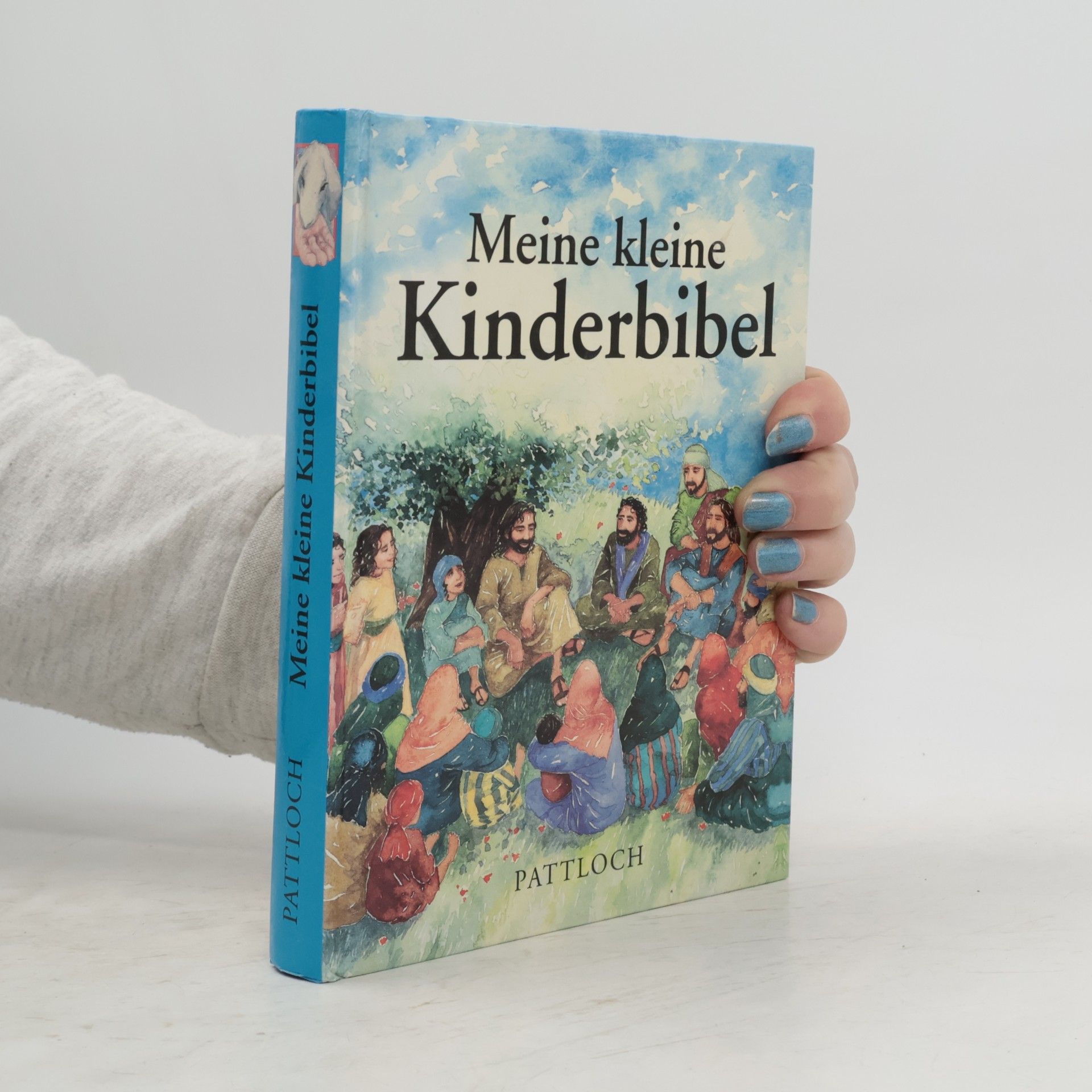 Meine kleine Kinderbibel
