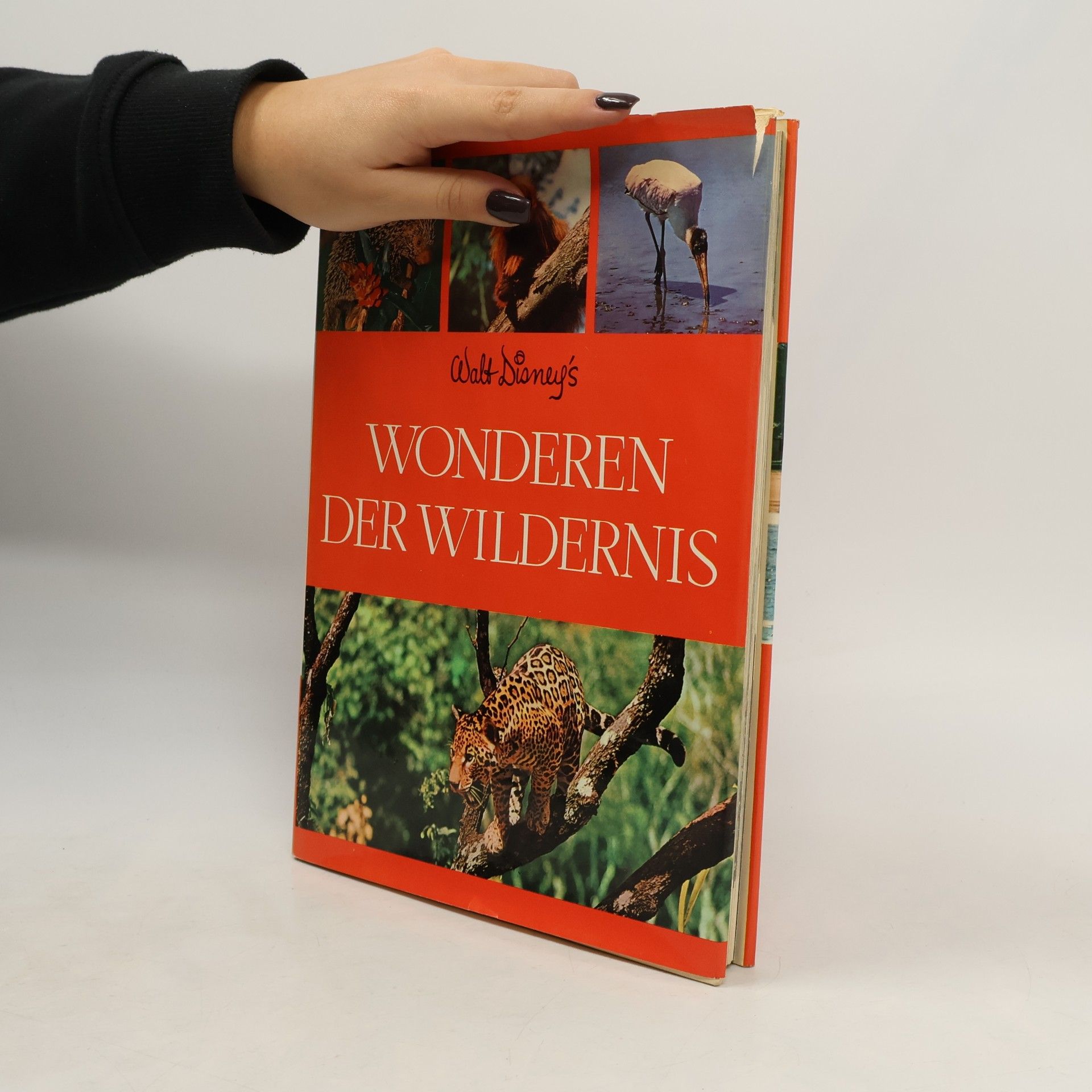 George Sherman Walt Disney's Wonderen der Wildernis