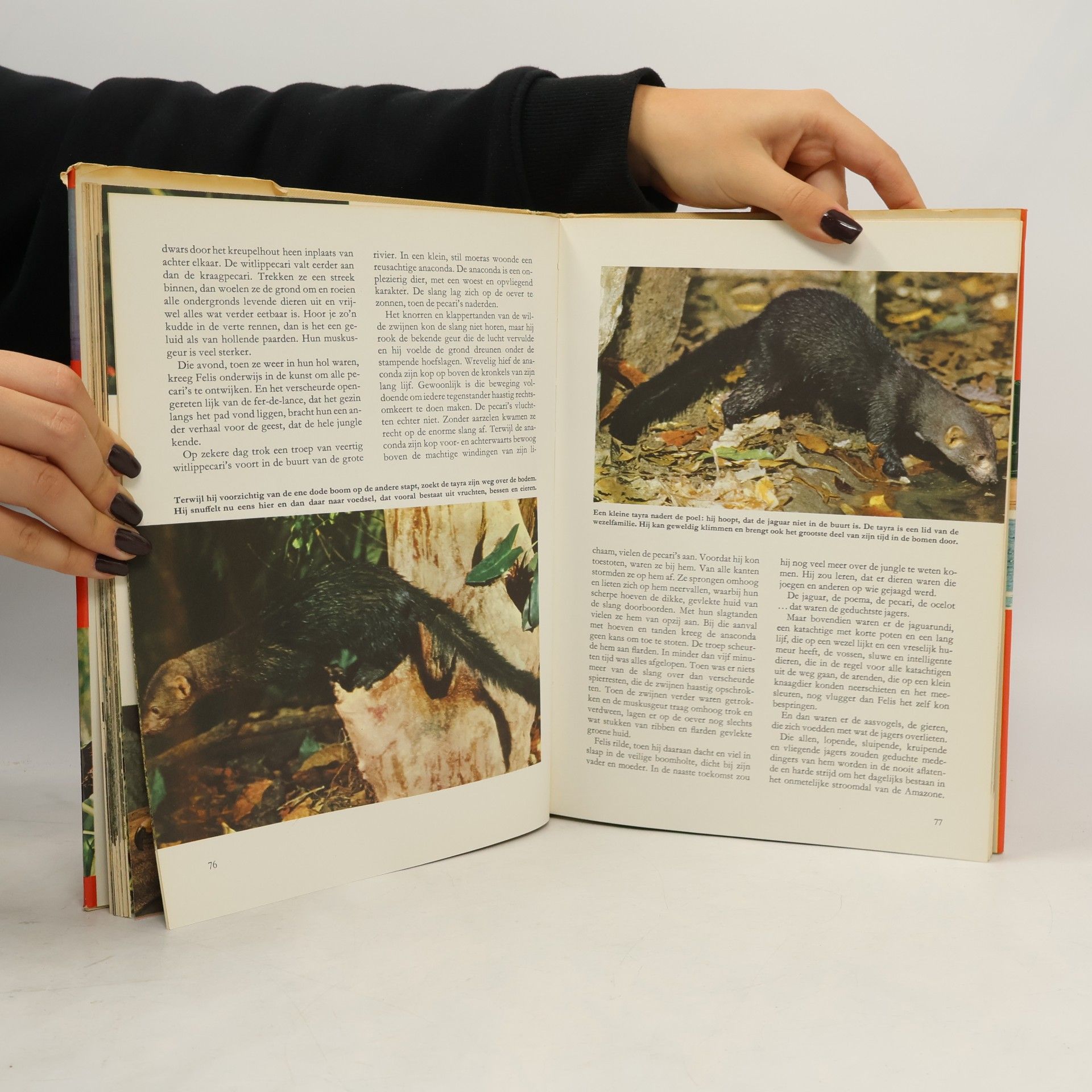 George Sherman Walt Disney's Wonderen der Wildernis