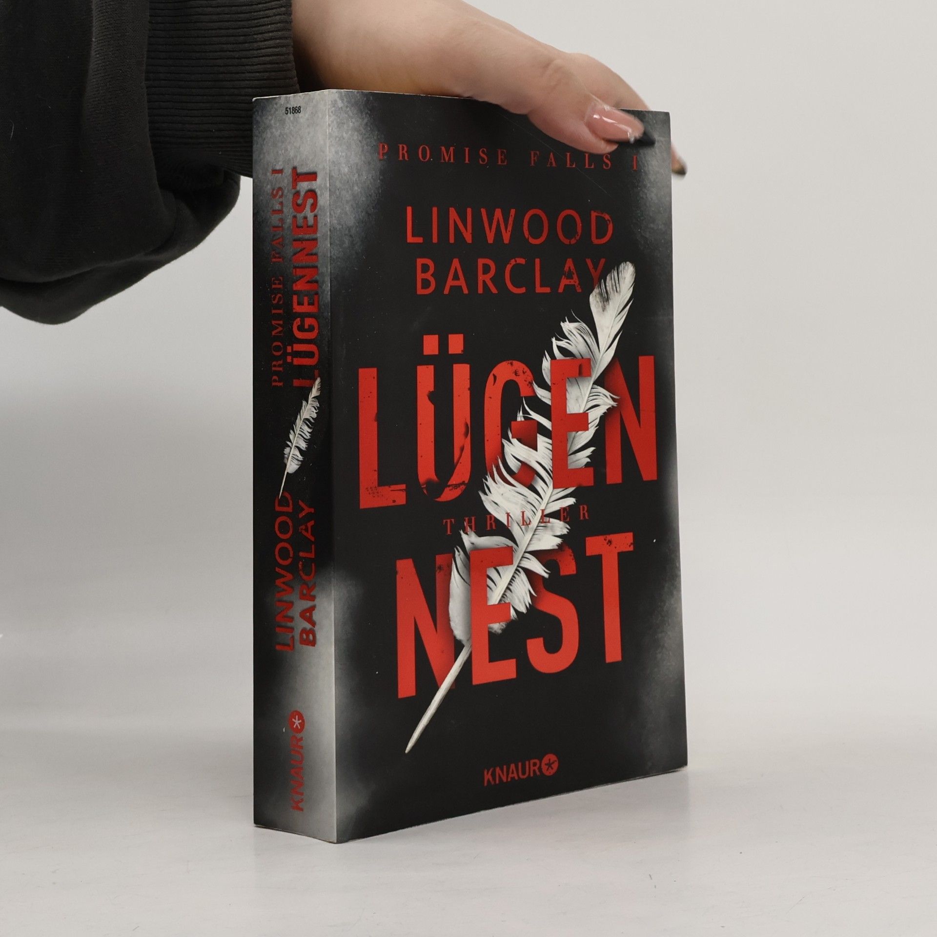 Linwood Barclay Lügennest