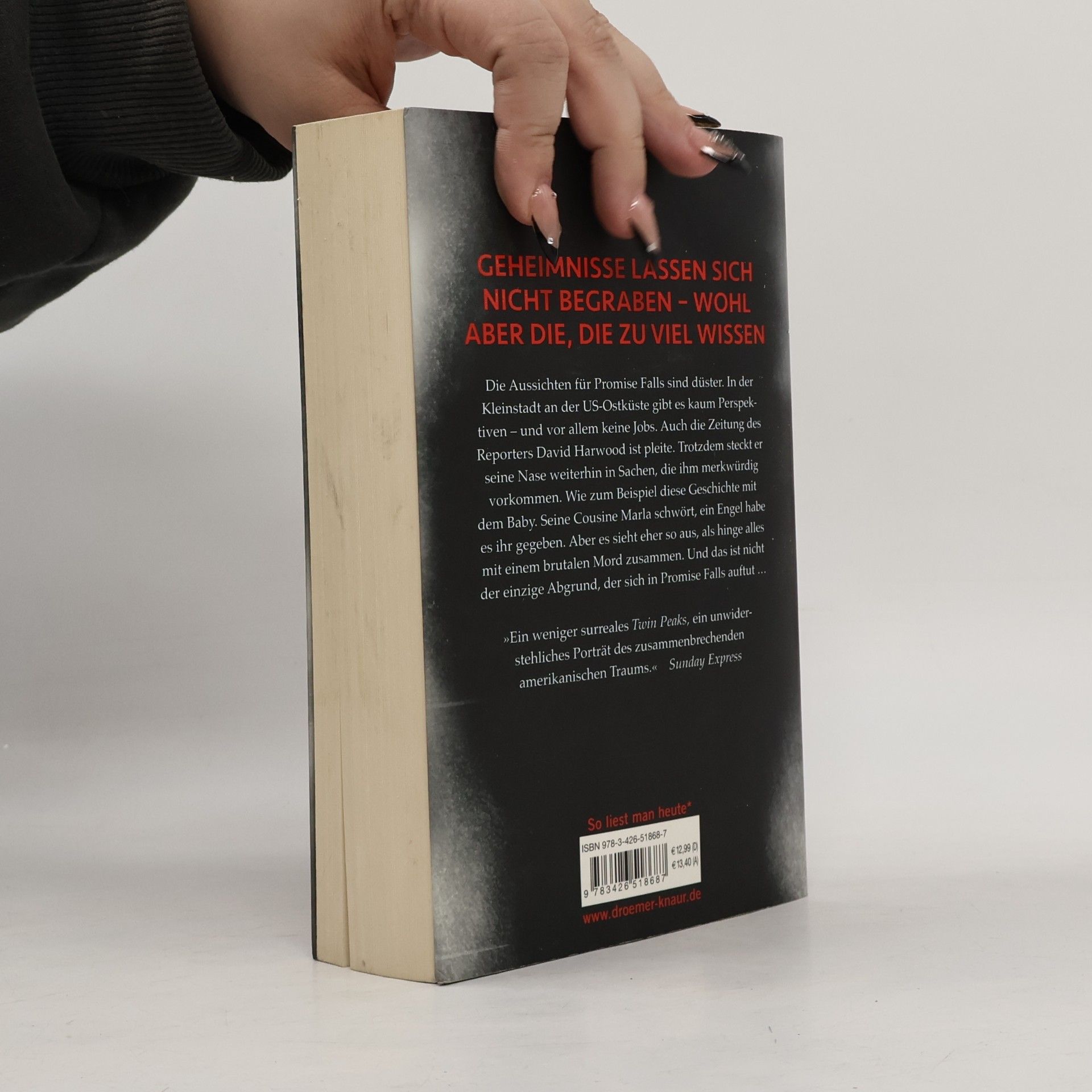 Linwood Barclay Lügennest