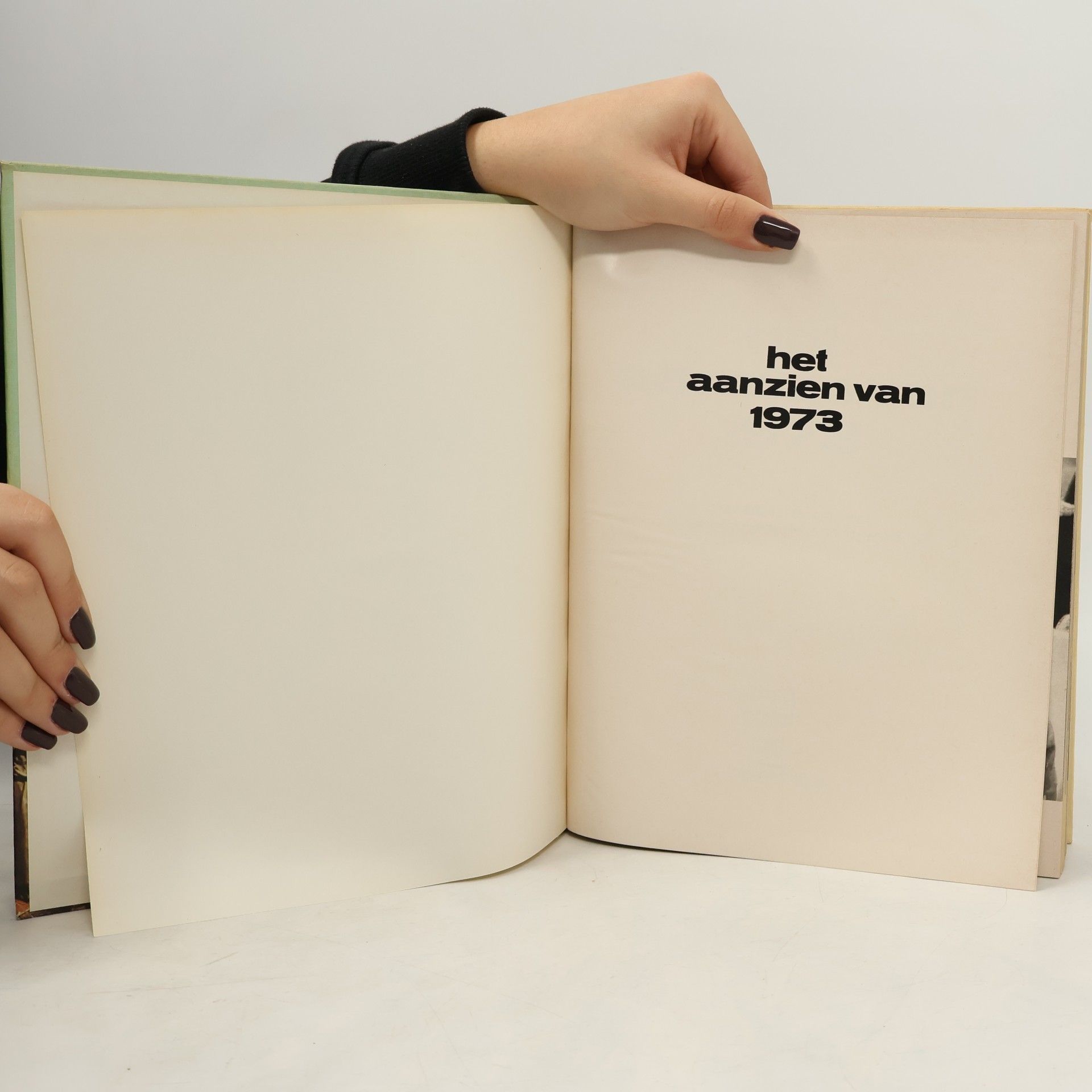 Auteurscollectief Het aanzien van 1973
