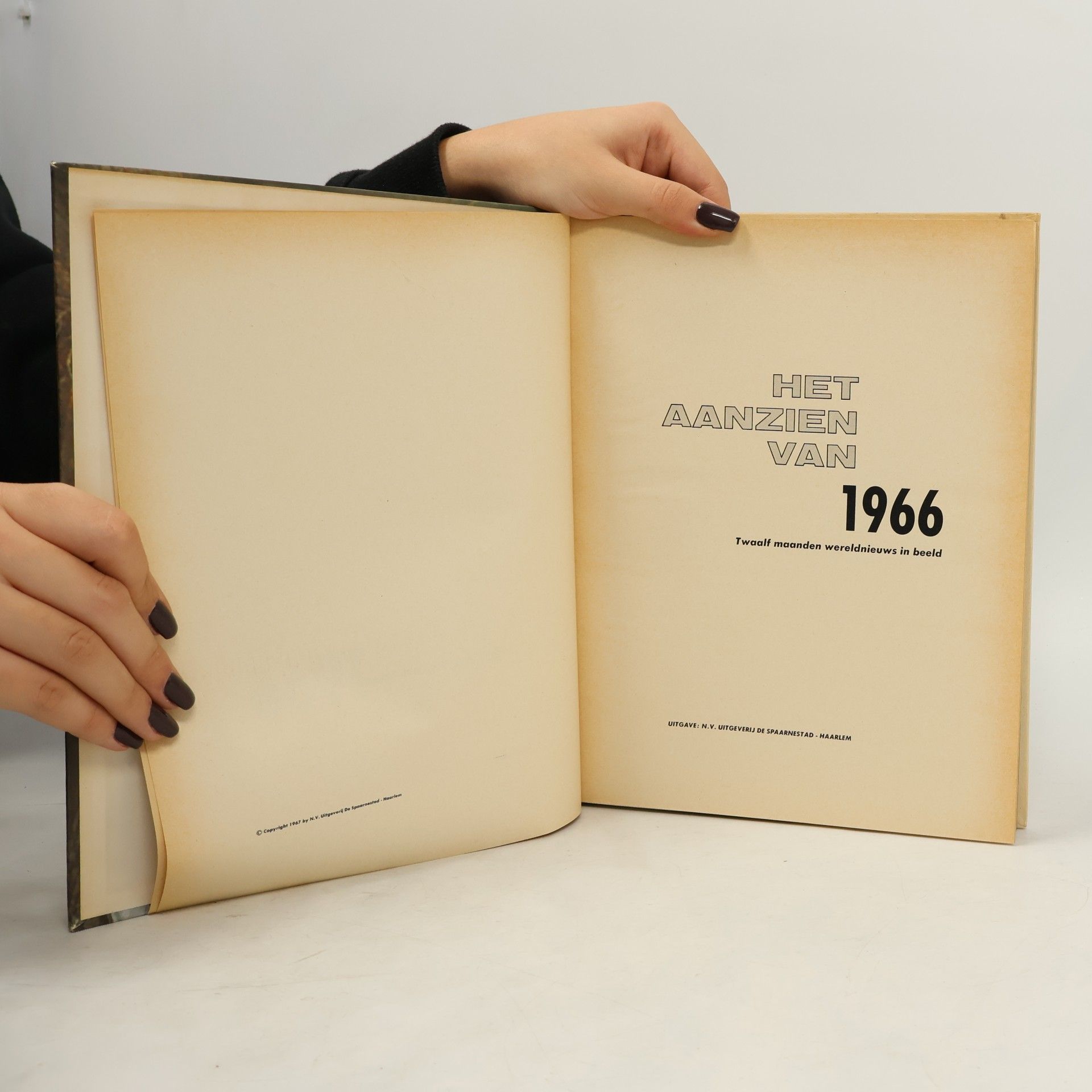 Various authors Het aanzien van 1966