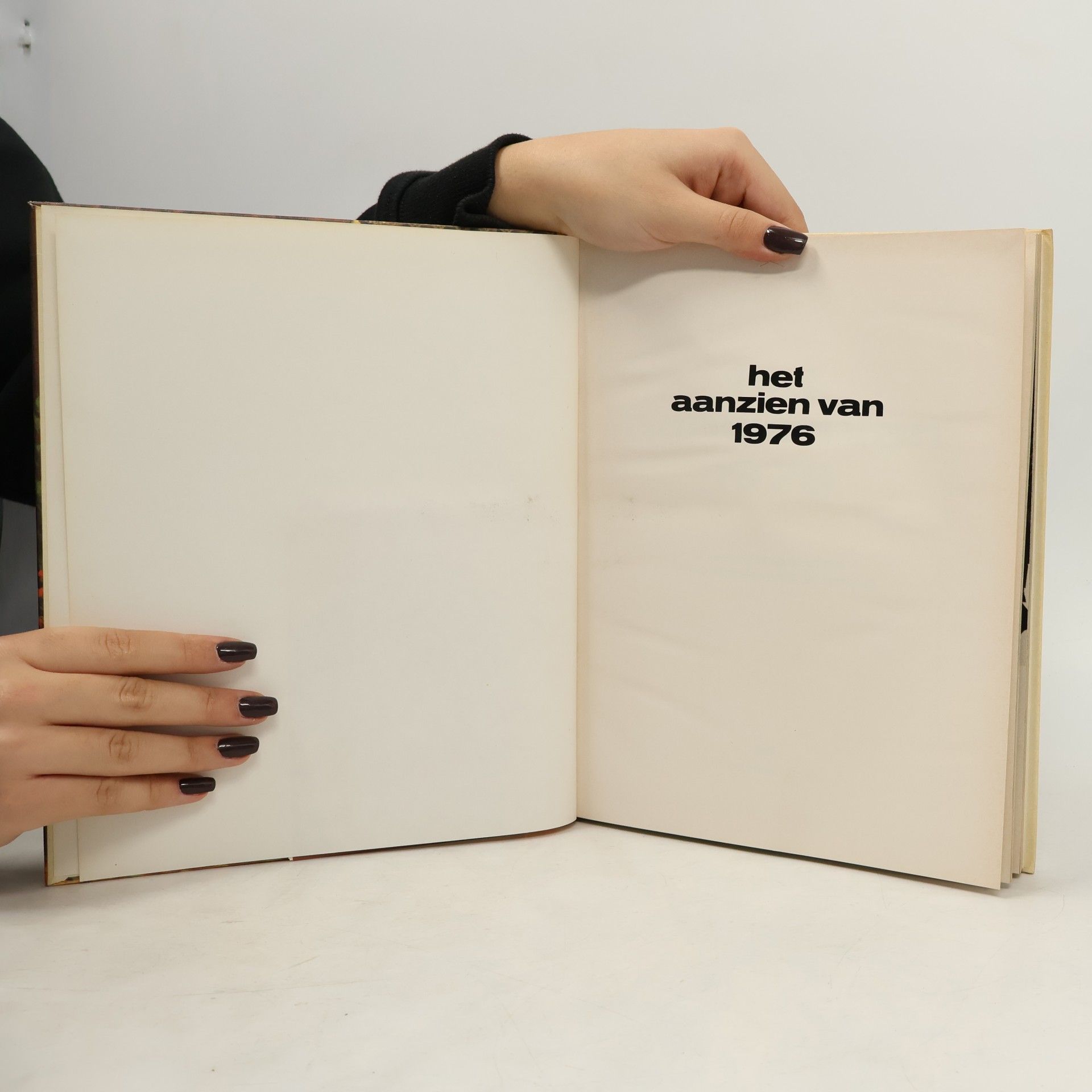 Various authors Het aanzien van 1976