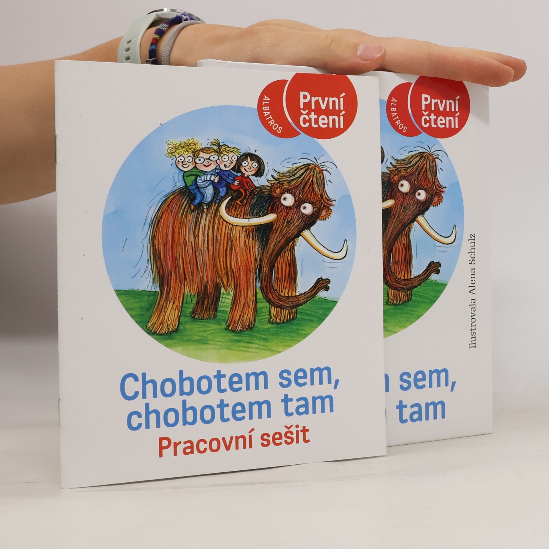 Ivona Březinová Chobotem sem, chobotem tam