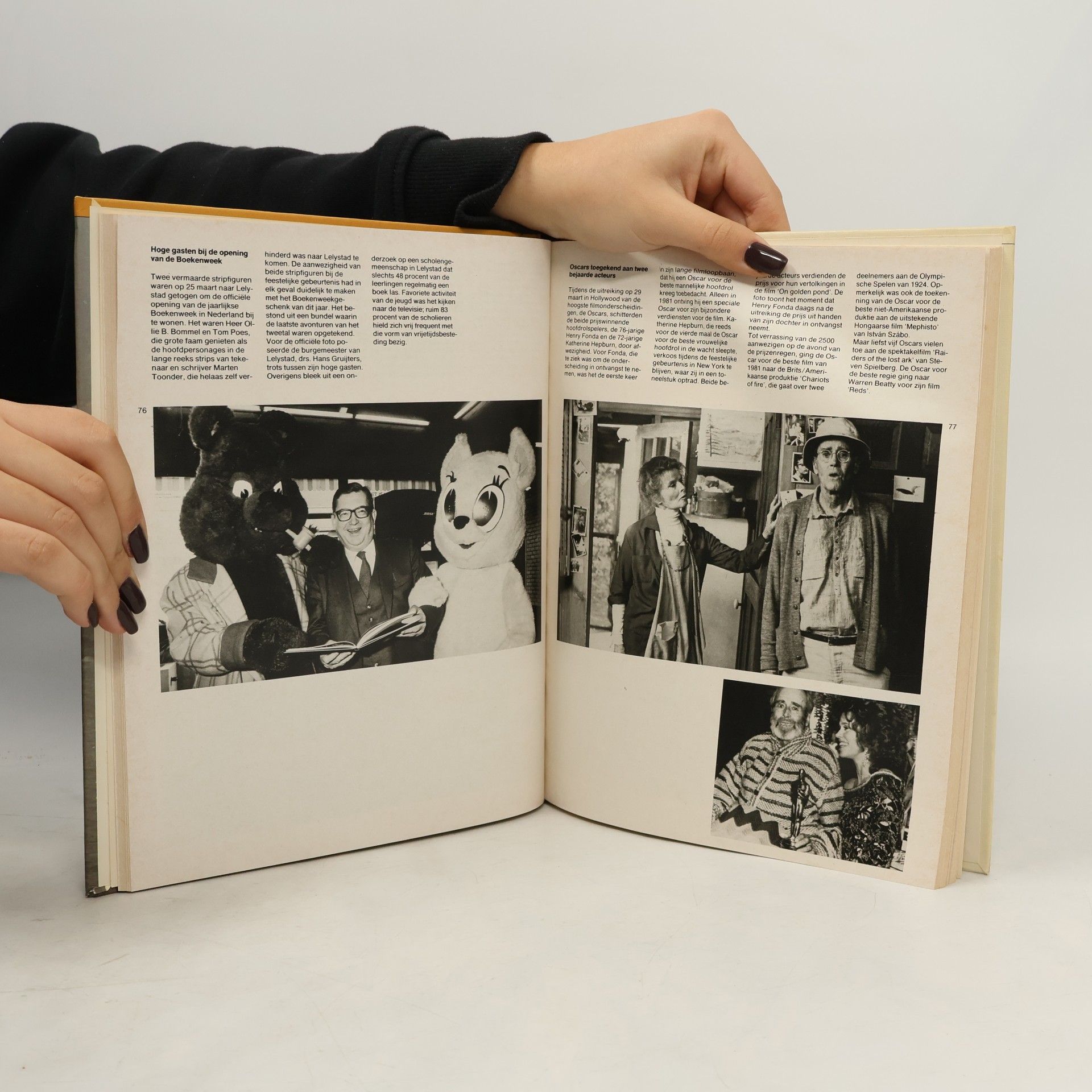 Auteurscollectief Het aanzien van 1982