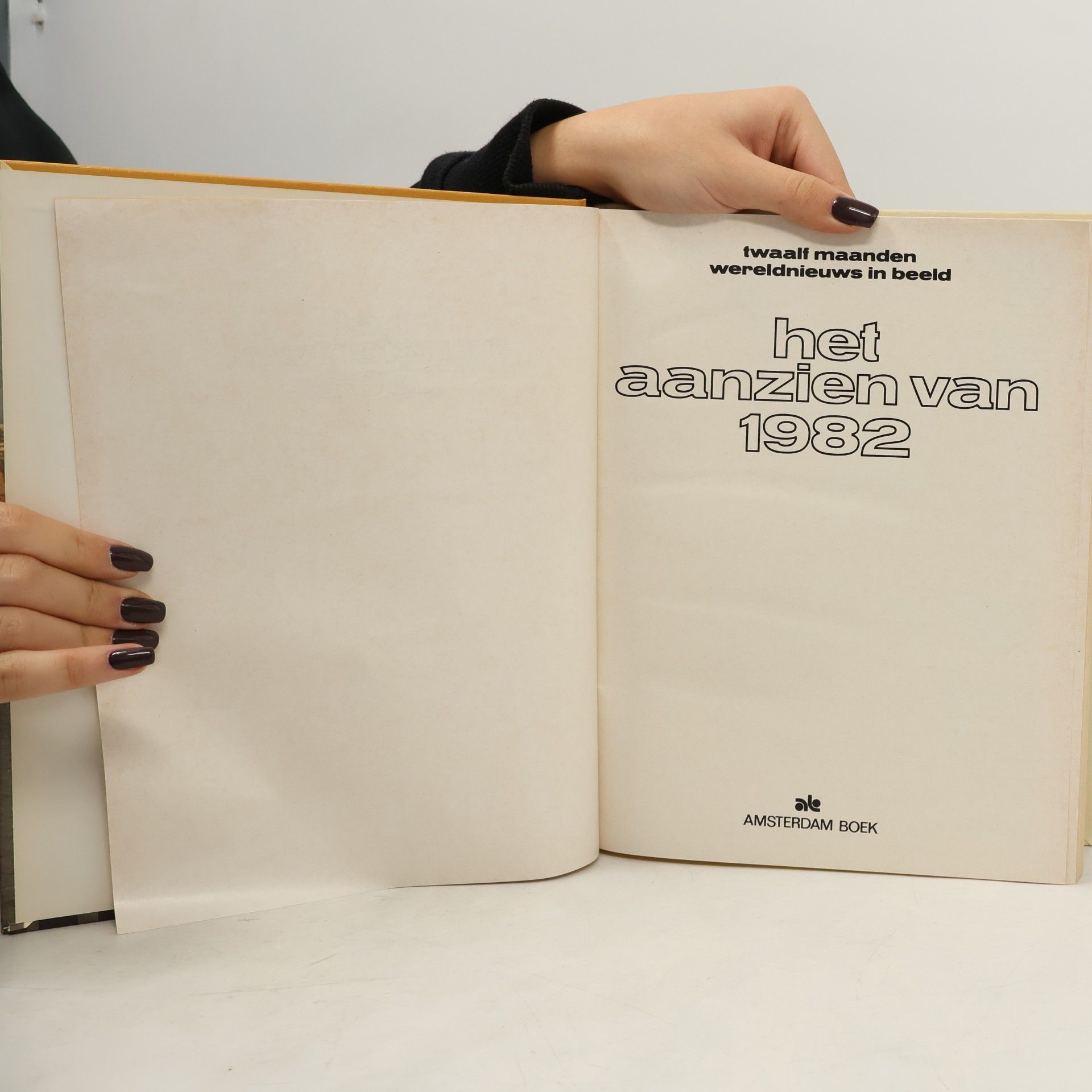 Auteurscollectief Het aanzien van 1982