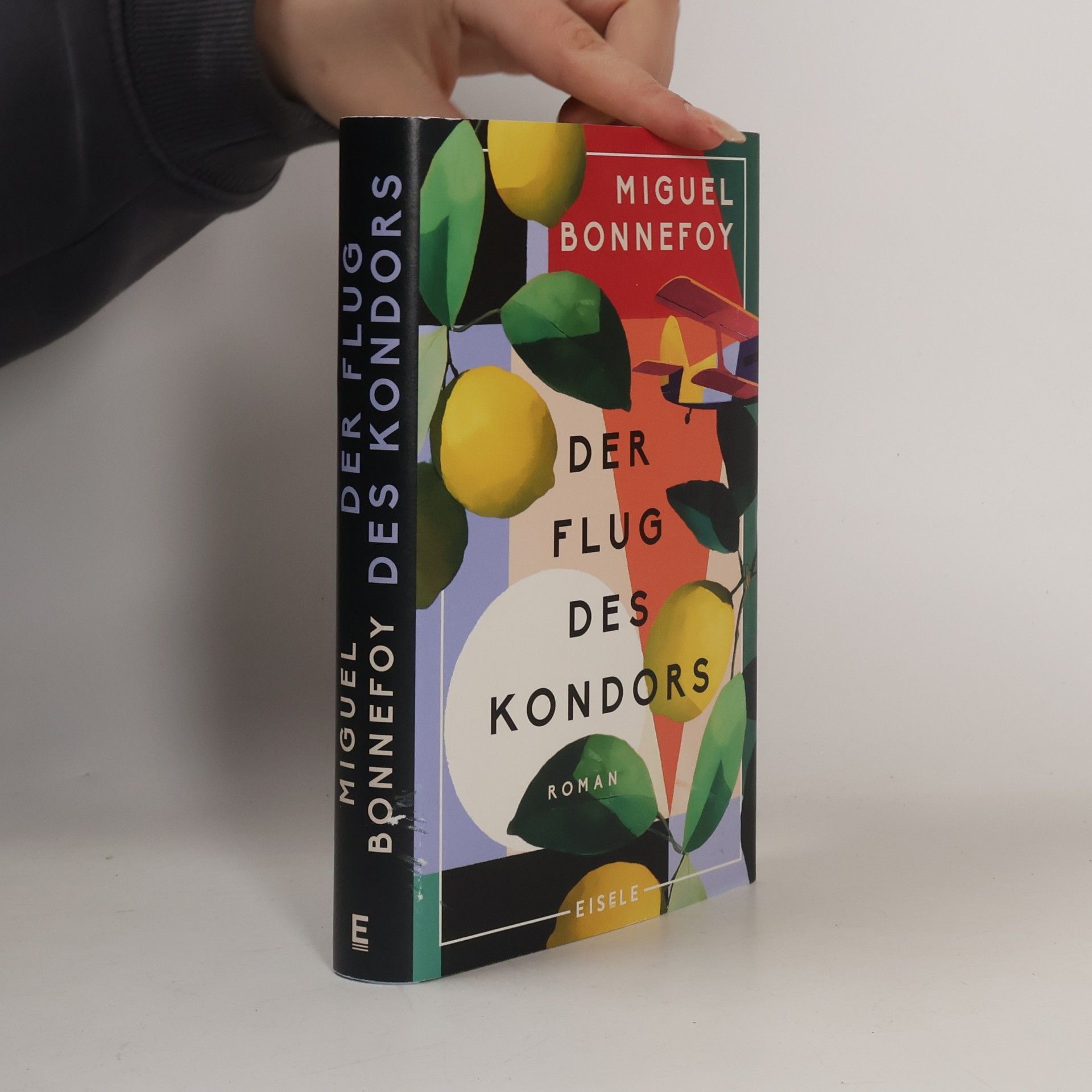 Der Flug des Kondors: Roman | Eine epische Familiengeschichte zwischen Chile und Frankreich voller erzählerischer Wucht | Bildgewaltiger magischer Realismus