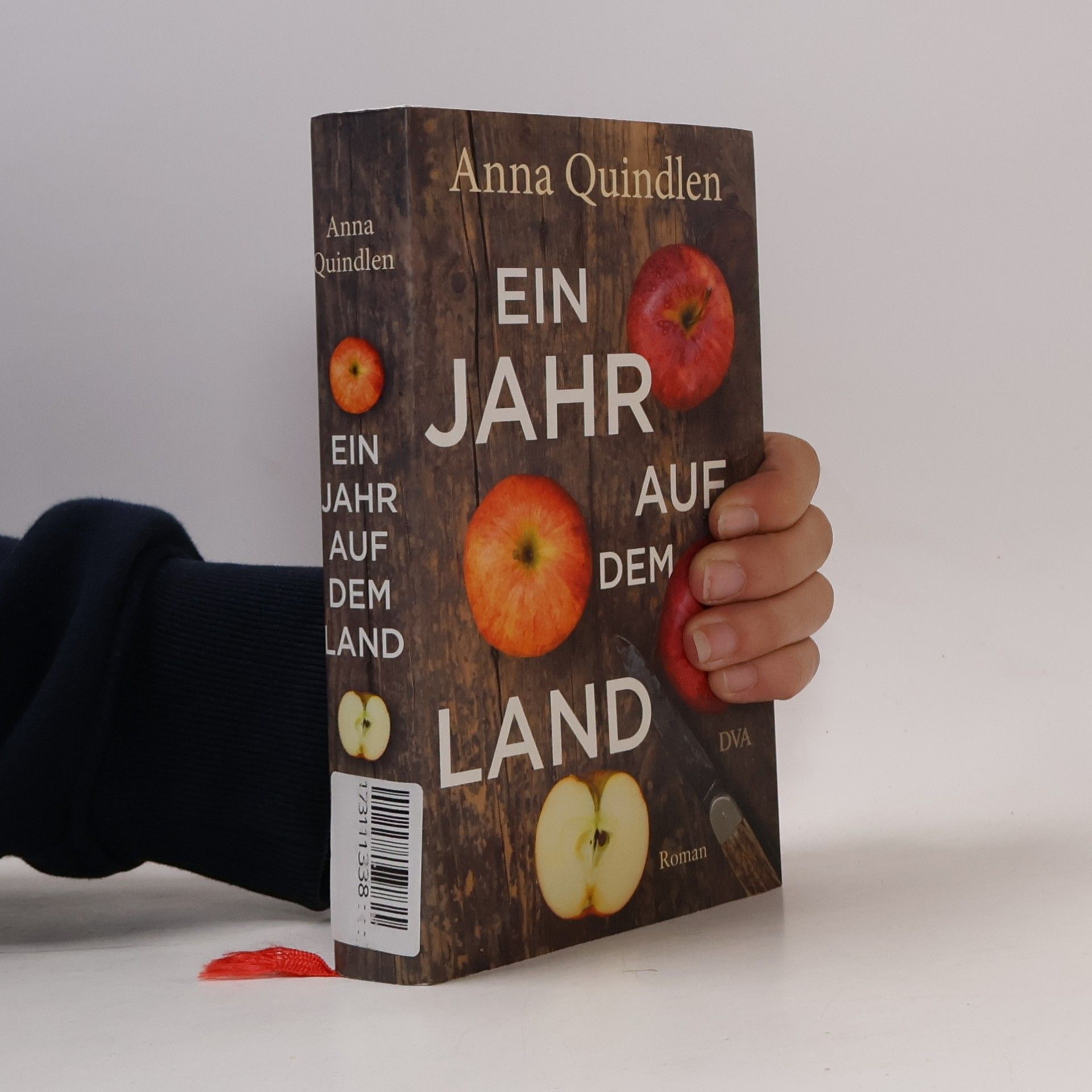 Anna Quindlen Ein Jahr auf dem Land