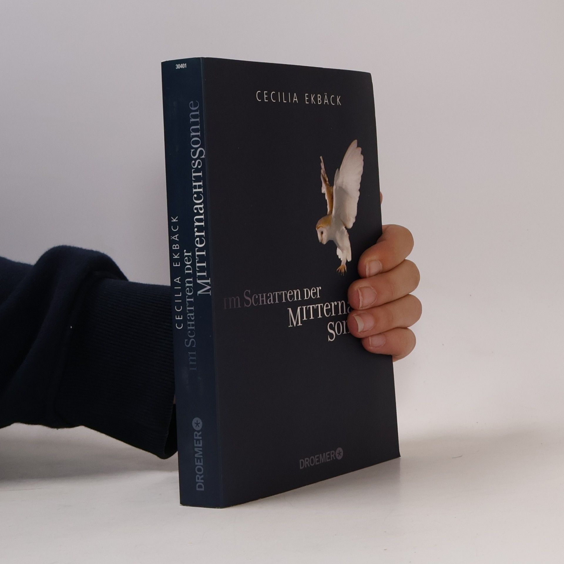 Cecilia Ekbäck Im Schatten der Mitternachtssonne