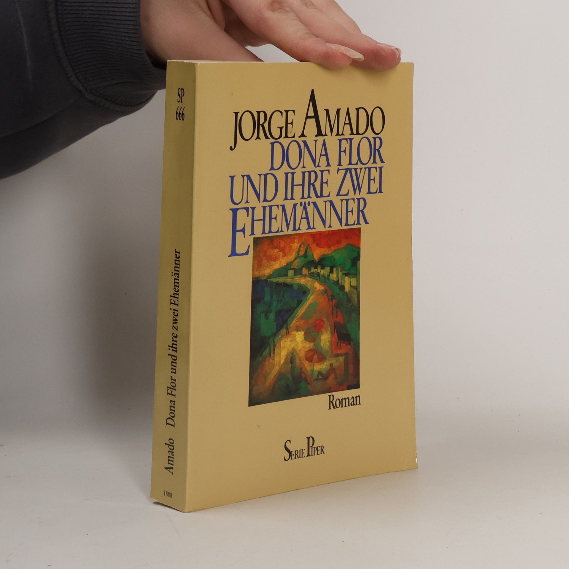 Jorge Amado Dona Flor und ihre zwei Ehemänner