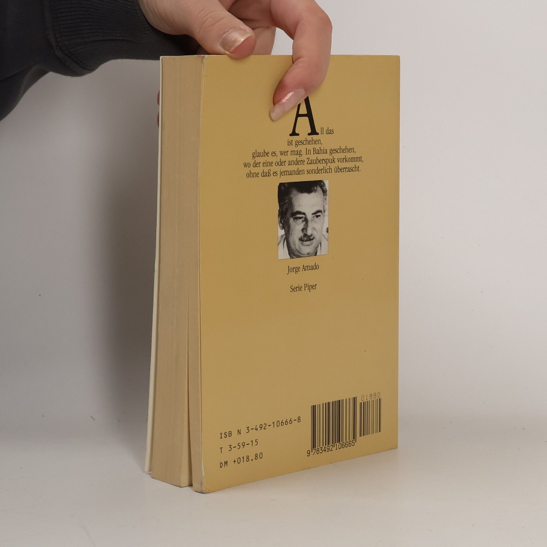 Jorge Amado Dona Flor und ihre zwei Ehemänner