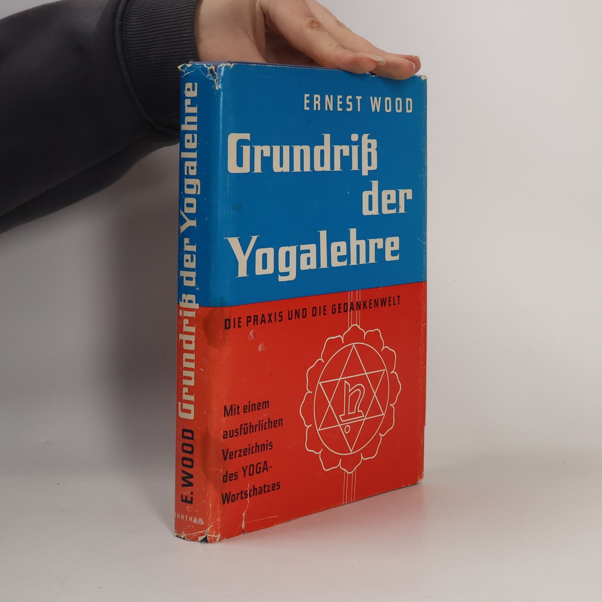 Grundriß der Yogalehre