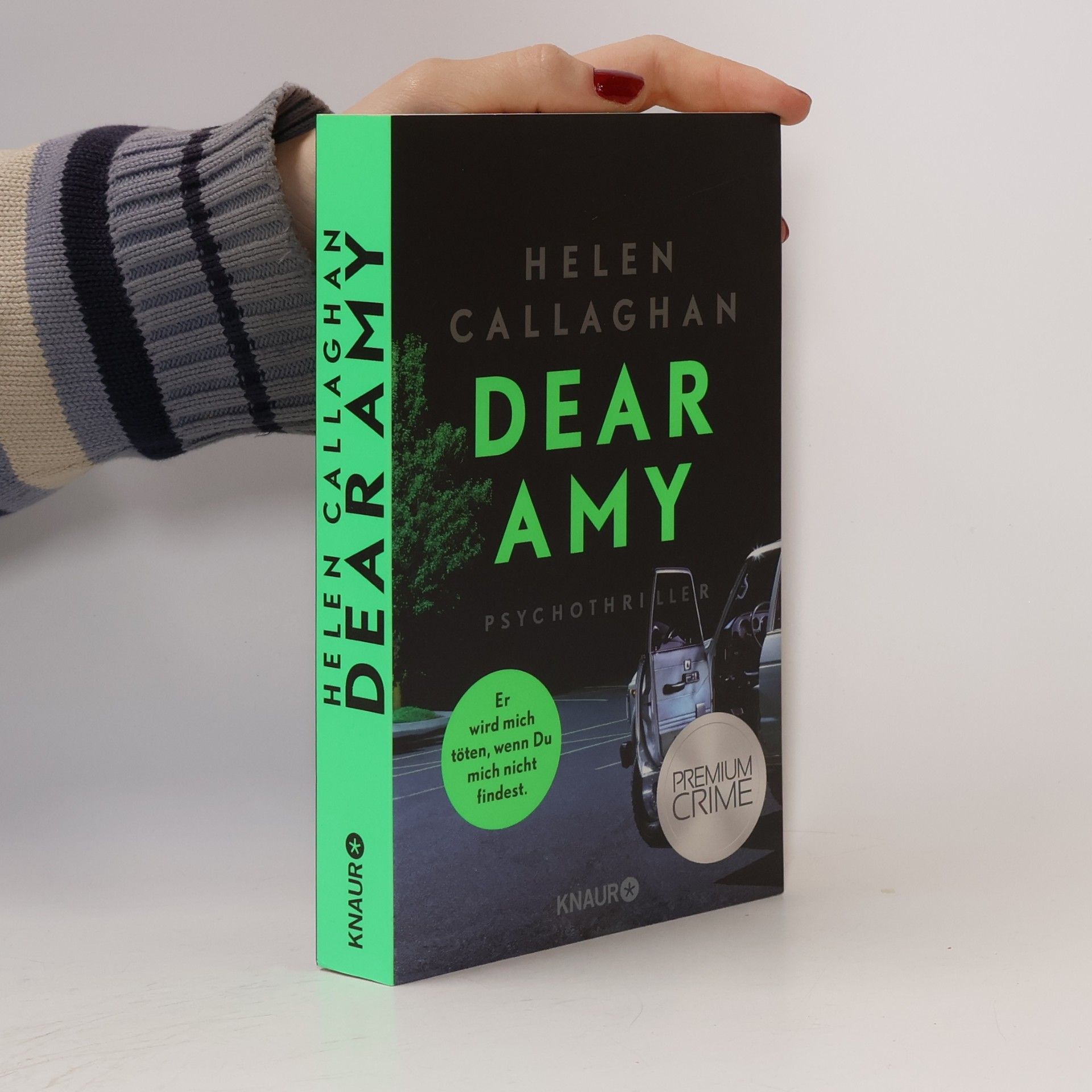 Helen Callaghan Dear Amy