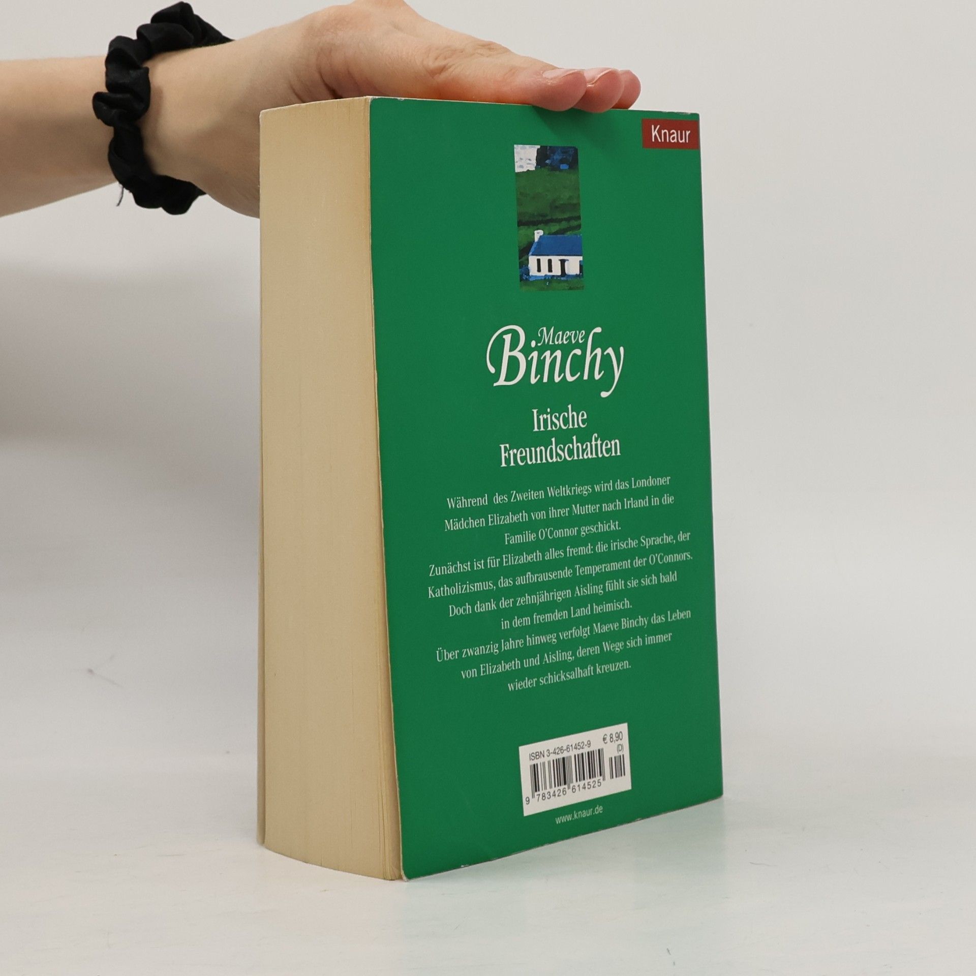 Maeve Binchy Irische Freundschaften