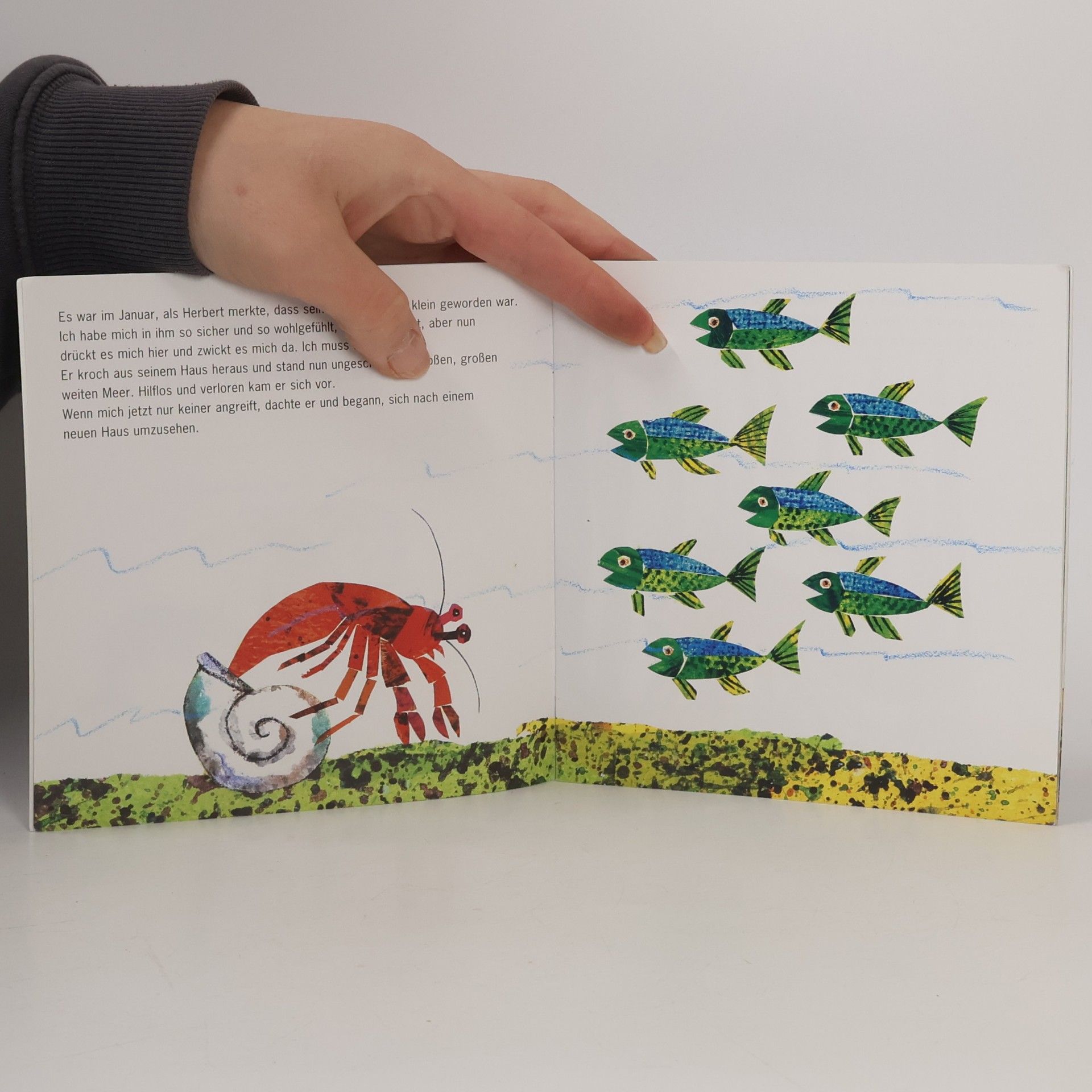 Eric Carle Ein Haus für Herbert